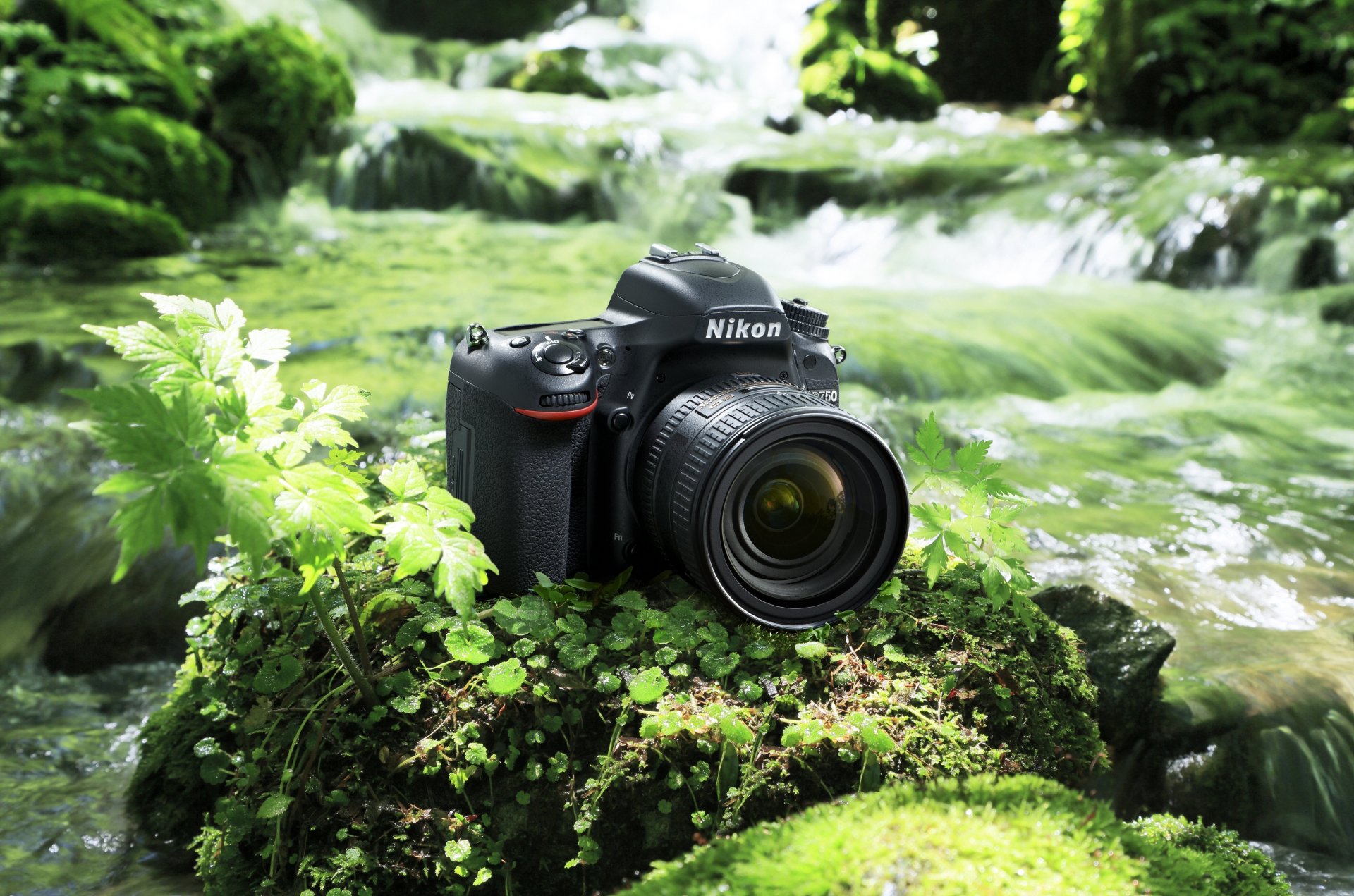 Aparat za razvijanje crno bela fotografija 27 Aparat za razvijanje crno bela fotografija 47