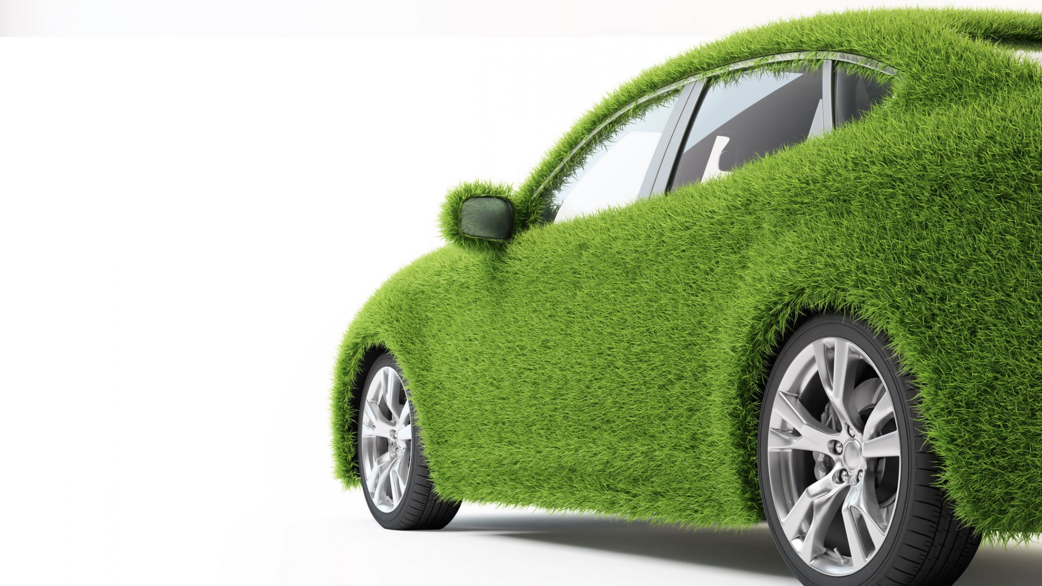 Страховка Машины Зеленая Карта Купить