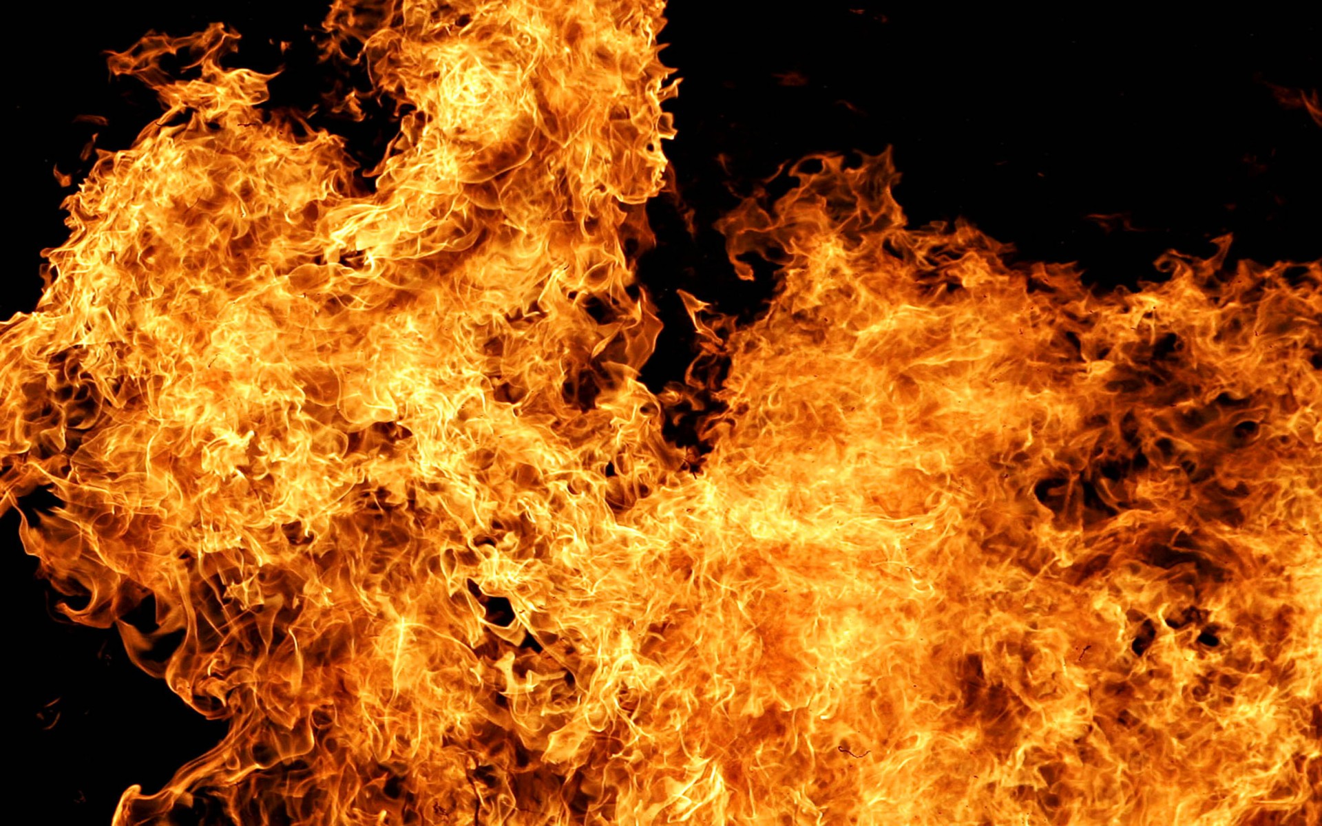 Pictures of white fire Pictures of white fire