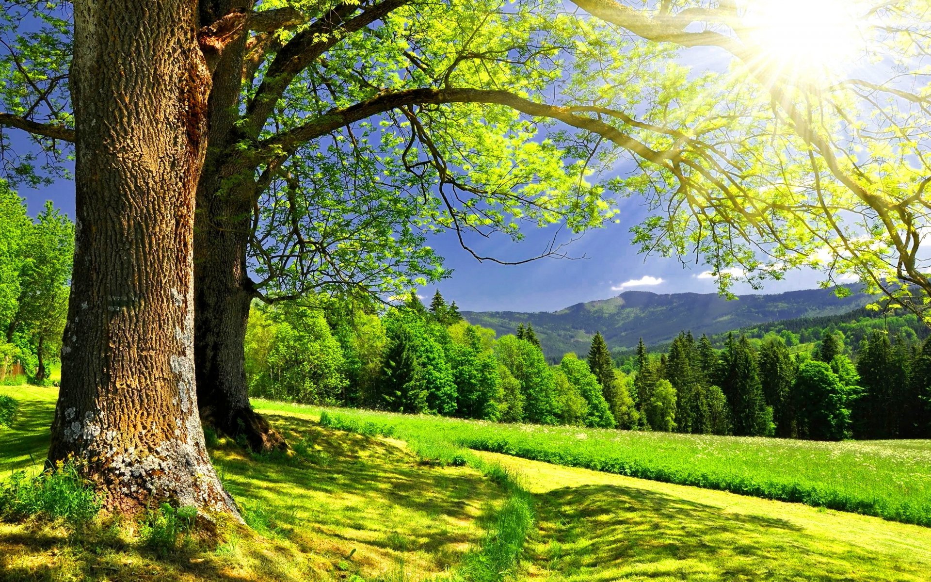 Fotografias de paisajes y personas 46 Fotografias de paisajes y personas 98