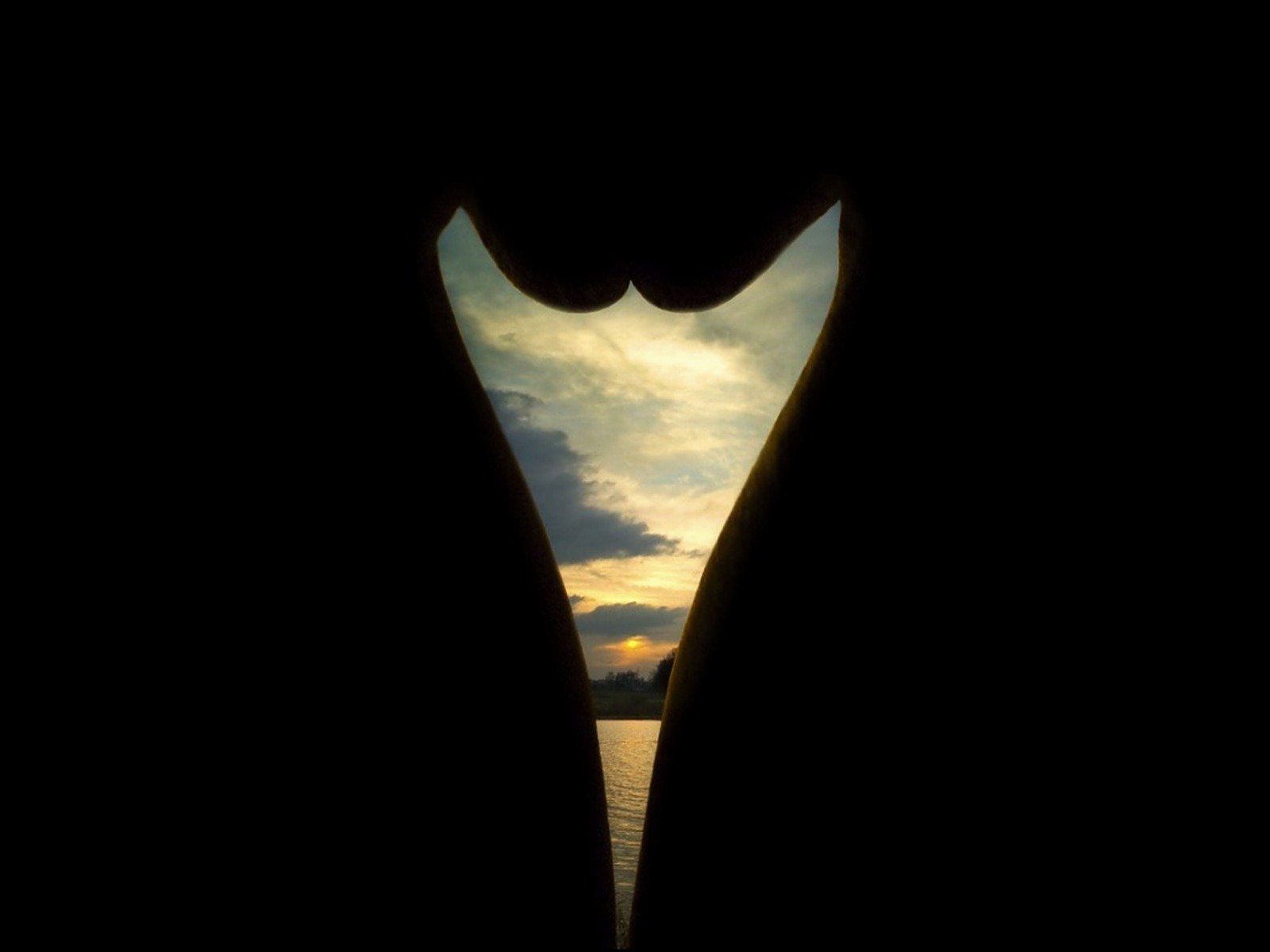 Sun set blowjob silhouette