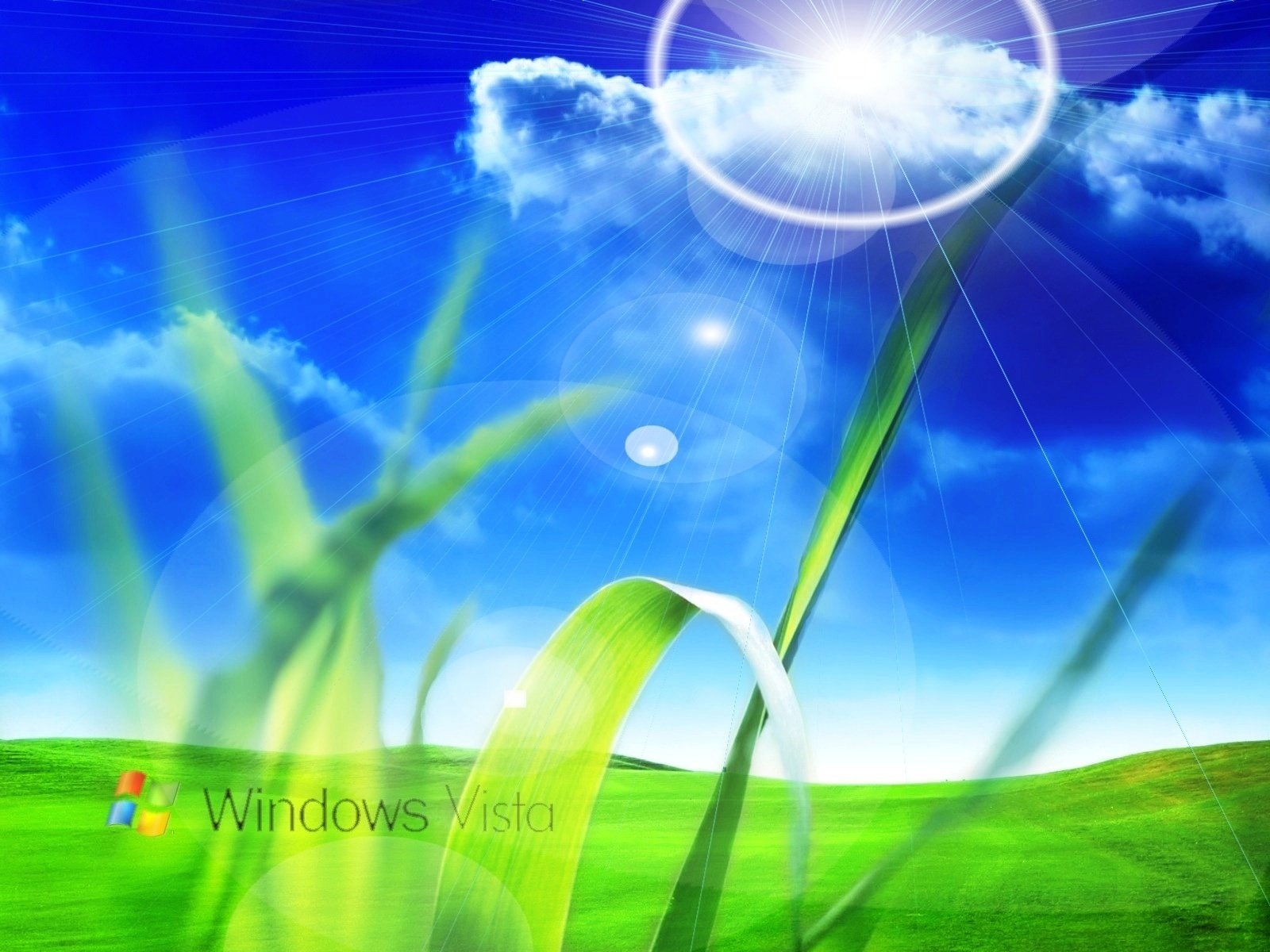 Логотип Windows Vista в поле