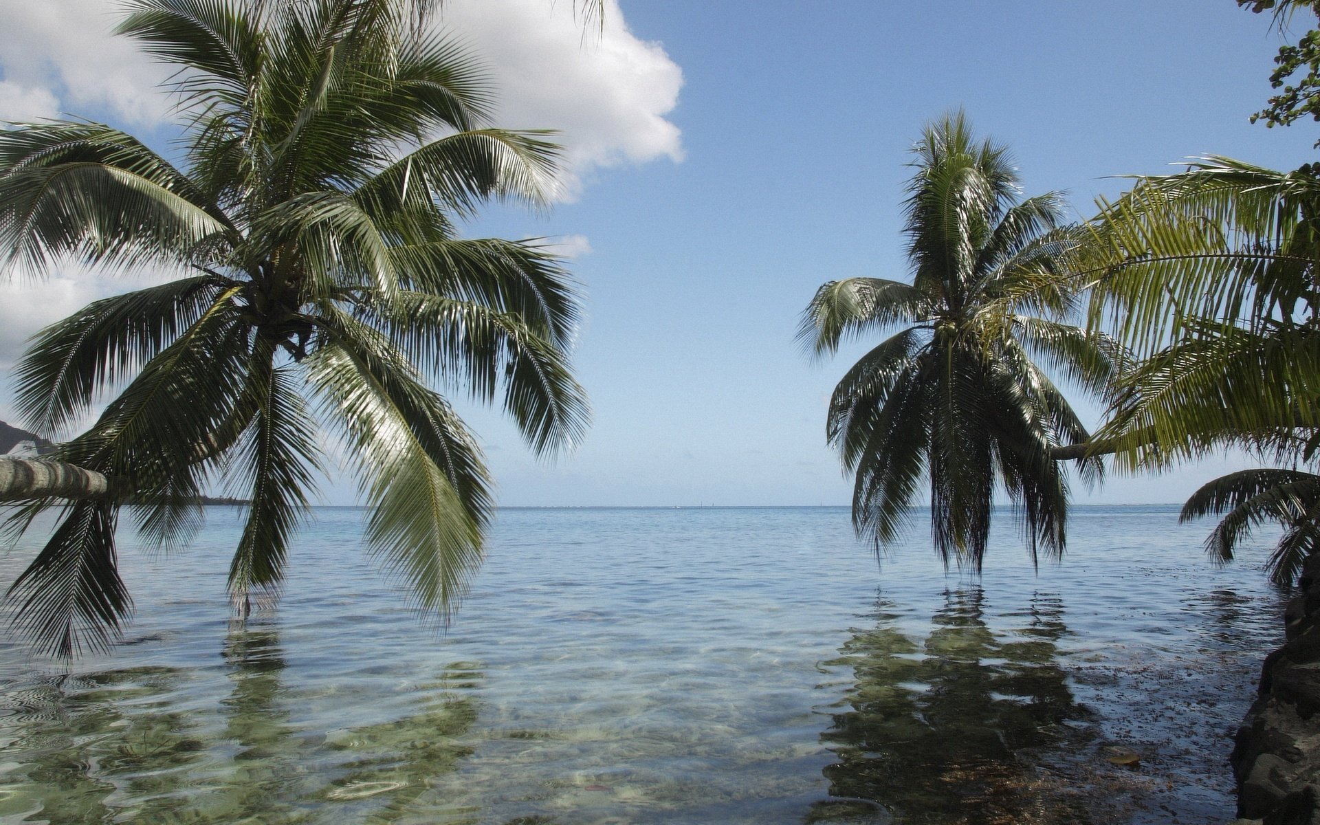 Тропический остров в океане с пальмами над водой, чистое небо и солнечные лучи