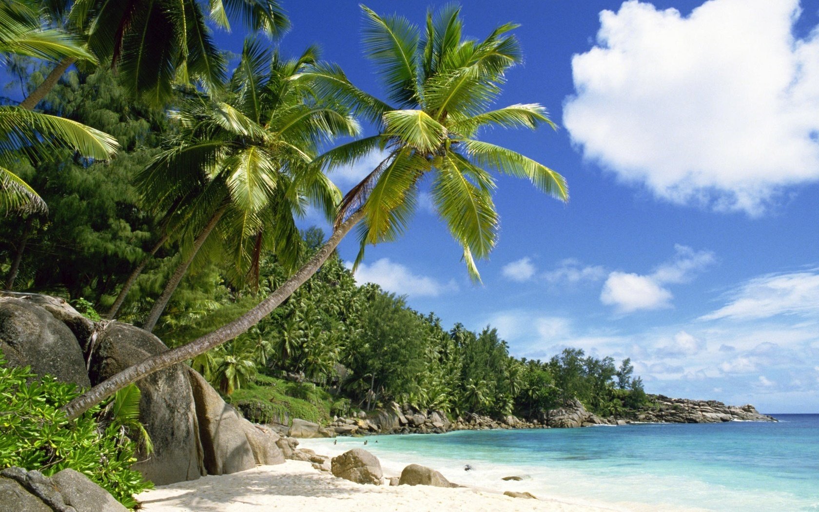 Райский пляж -голубая вода и пальмы