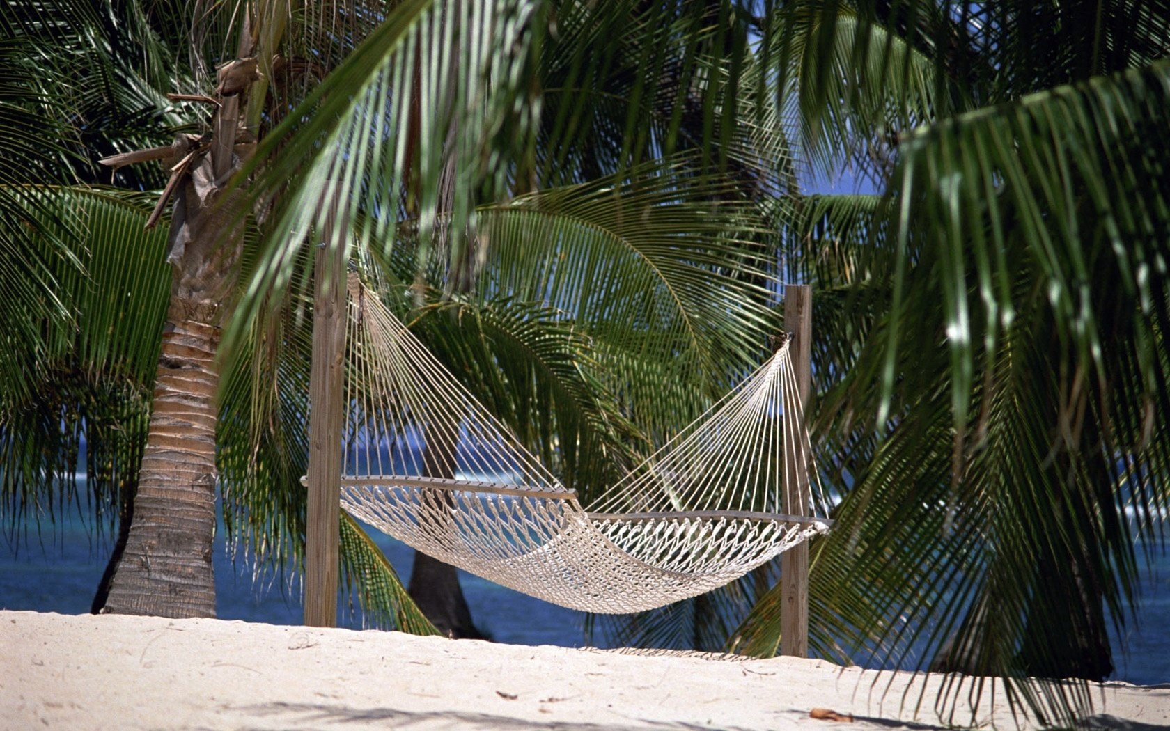 Гамак из ниток между пальмами на песчаном пляже в райском уголке земного шара