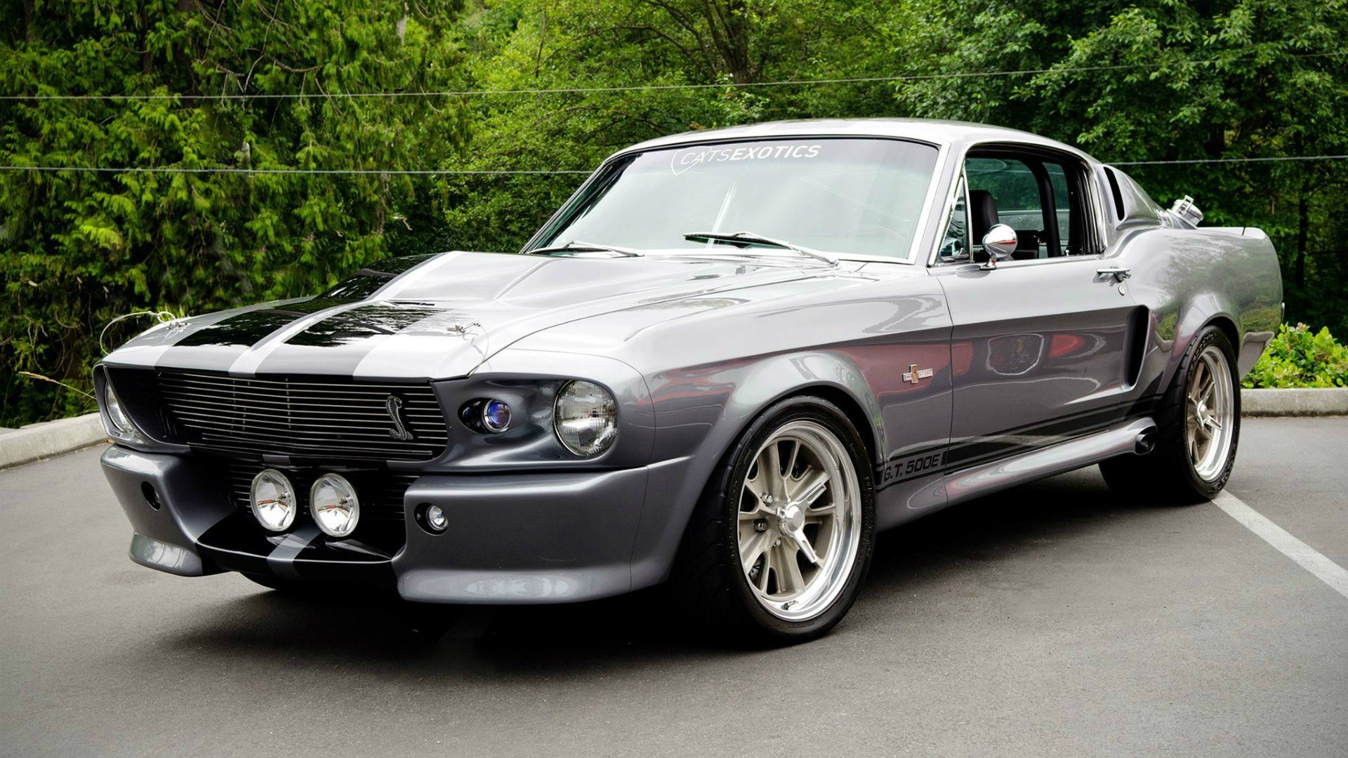 1967 ELEANOR FORD MUSTANG FASTBACK - FOR SALE