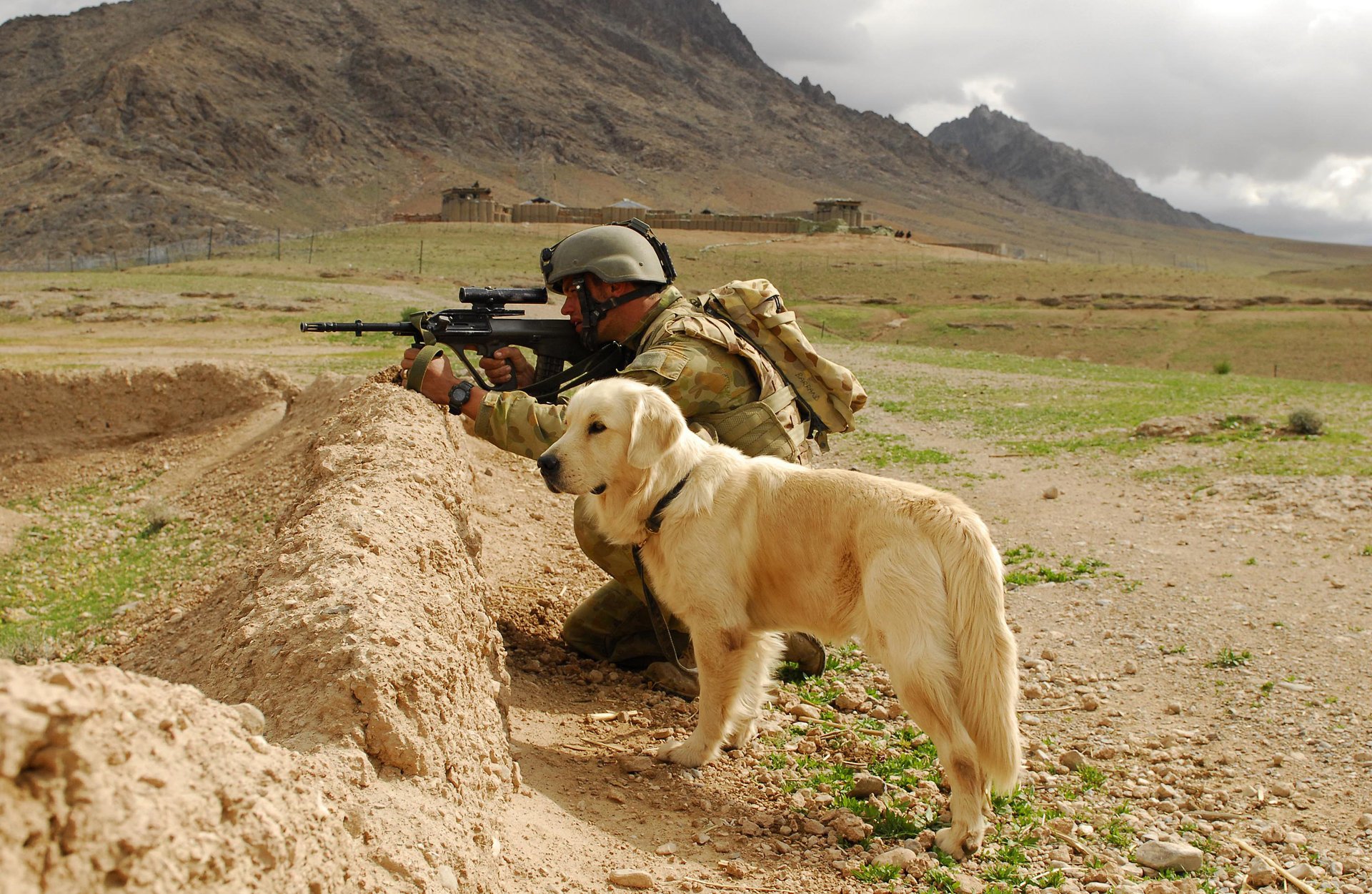 Собака и солдат защищают территорию