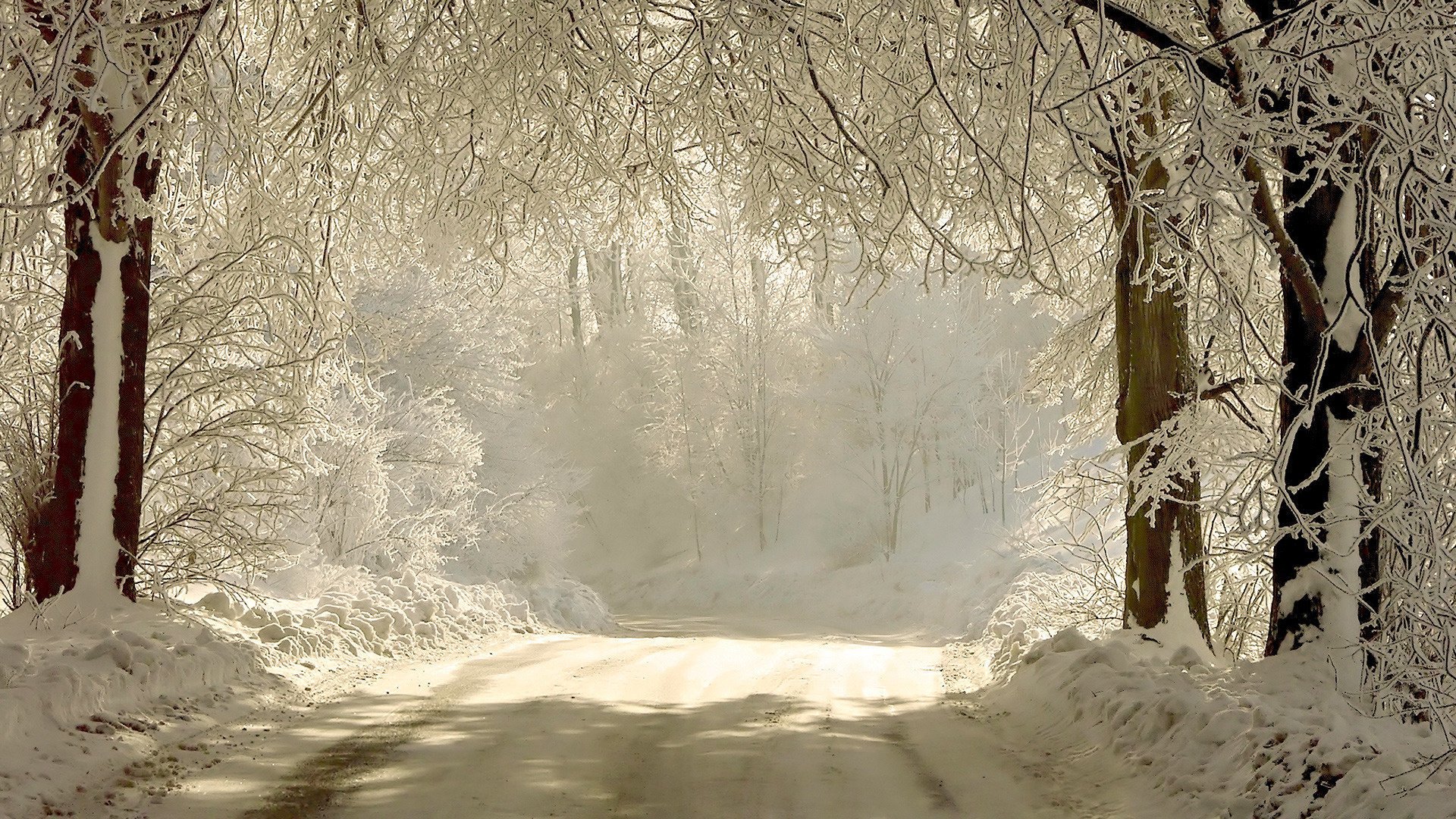 Зимняя дорога в сказочный лес