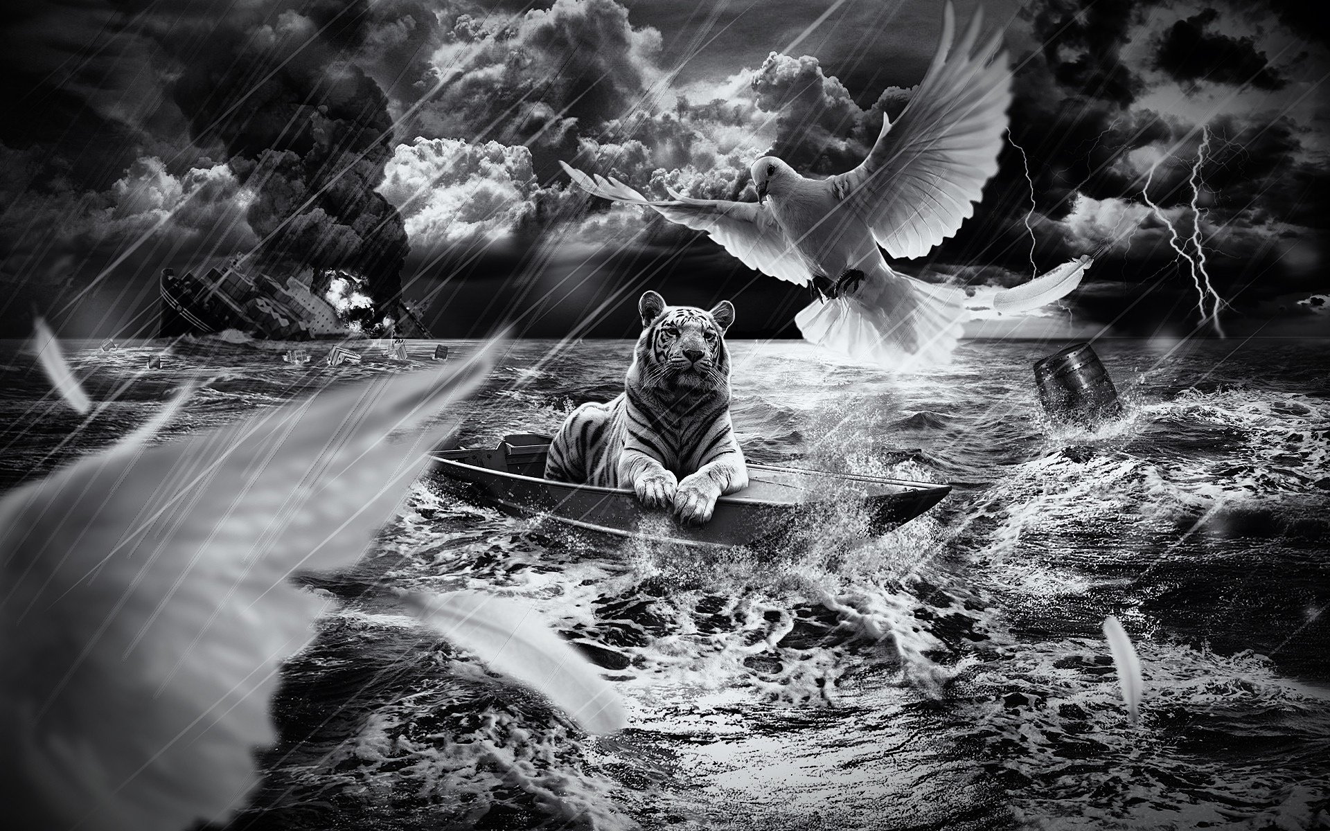 Тигр в лодке на море в дождь