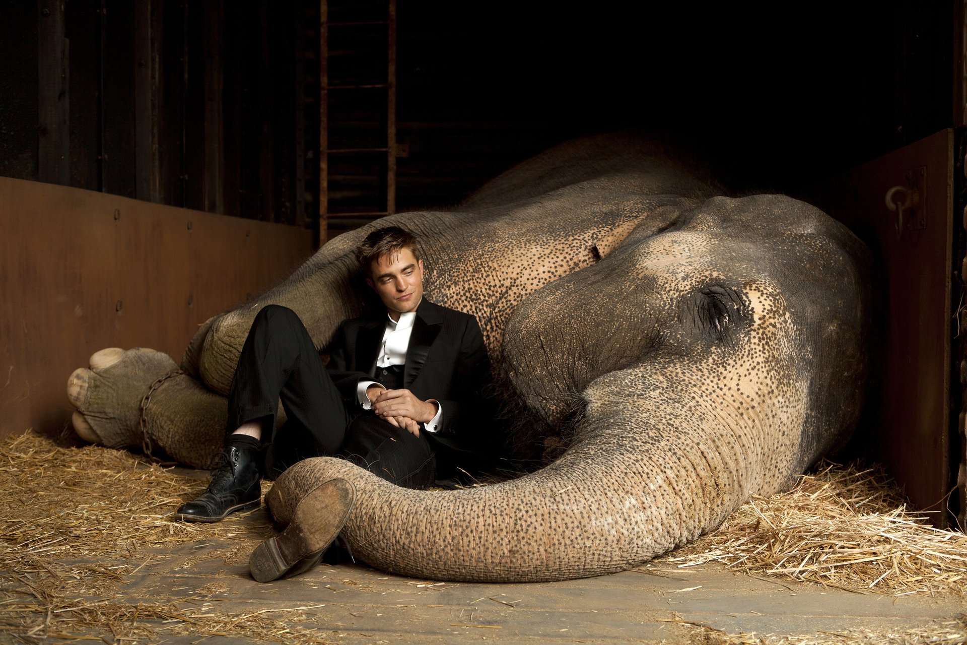 Роберт Паттисон со слоном