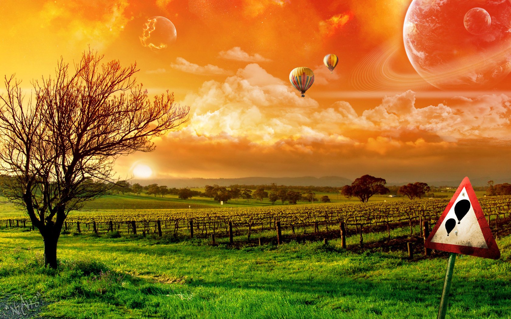 В закатном небе летят воздушные шары , на земле знак запрета на использование этих шаров