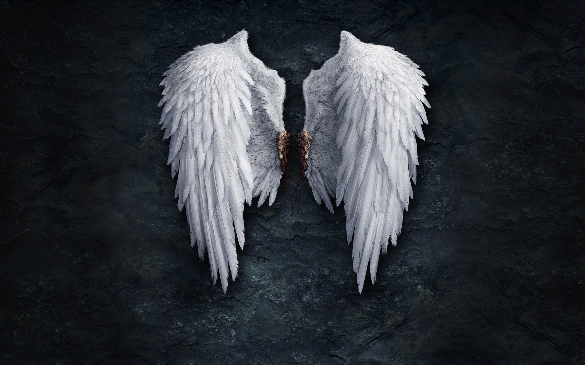 Шикарные крылья ангела на каменной стене