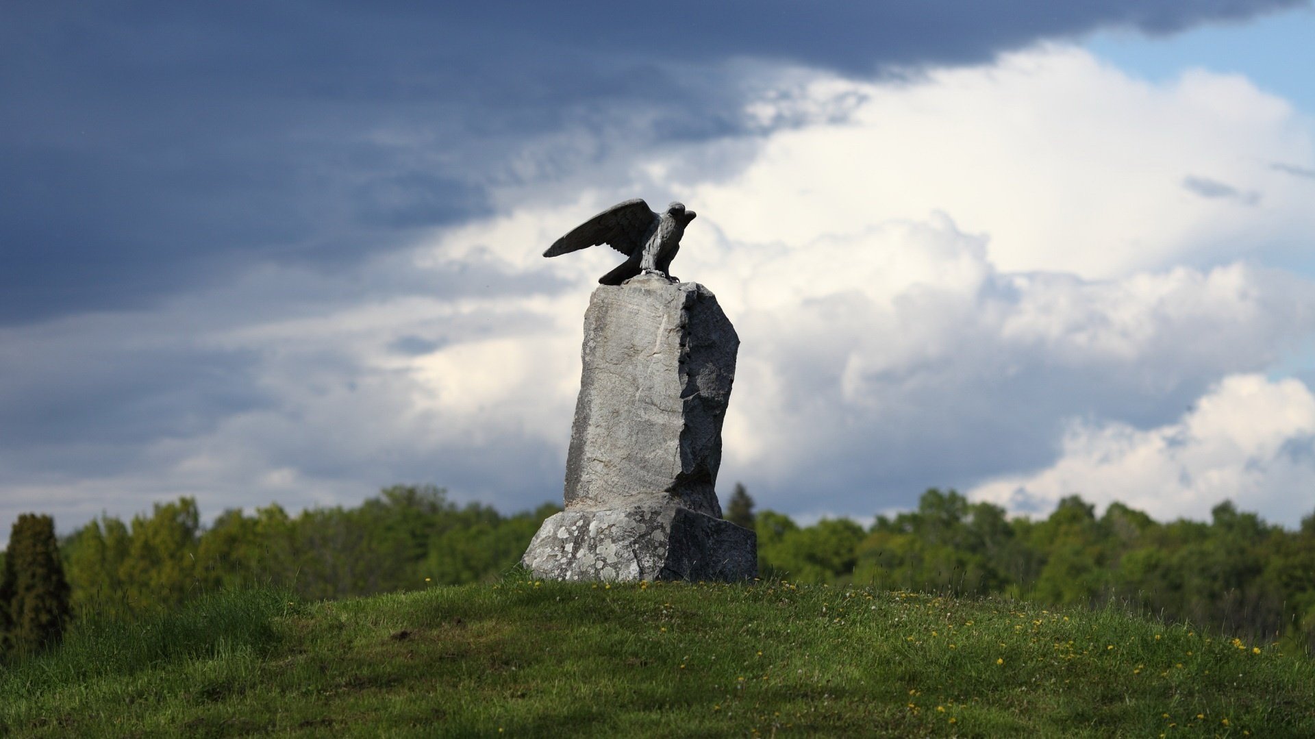 Каменная статуя орла с зеленью вокруг