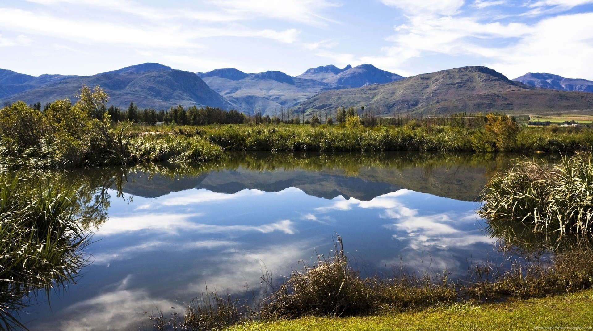 Зеркальное отражение дикой природы в озере