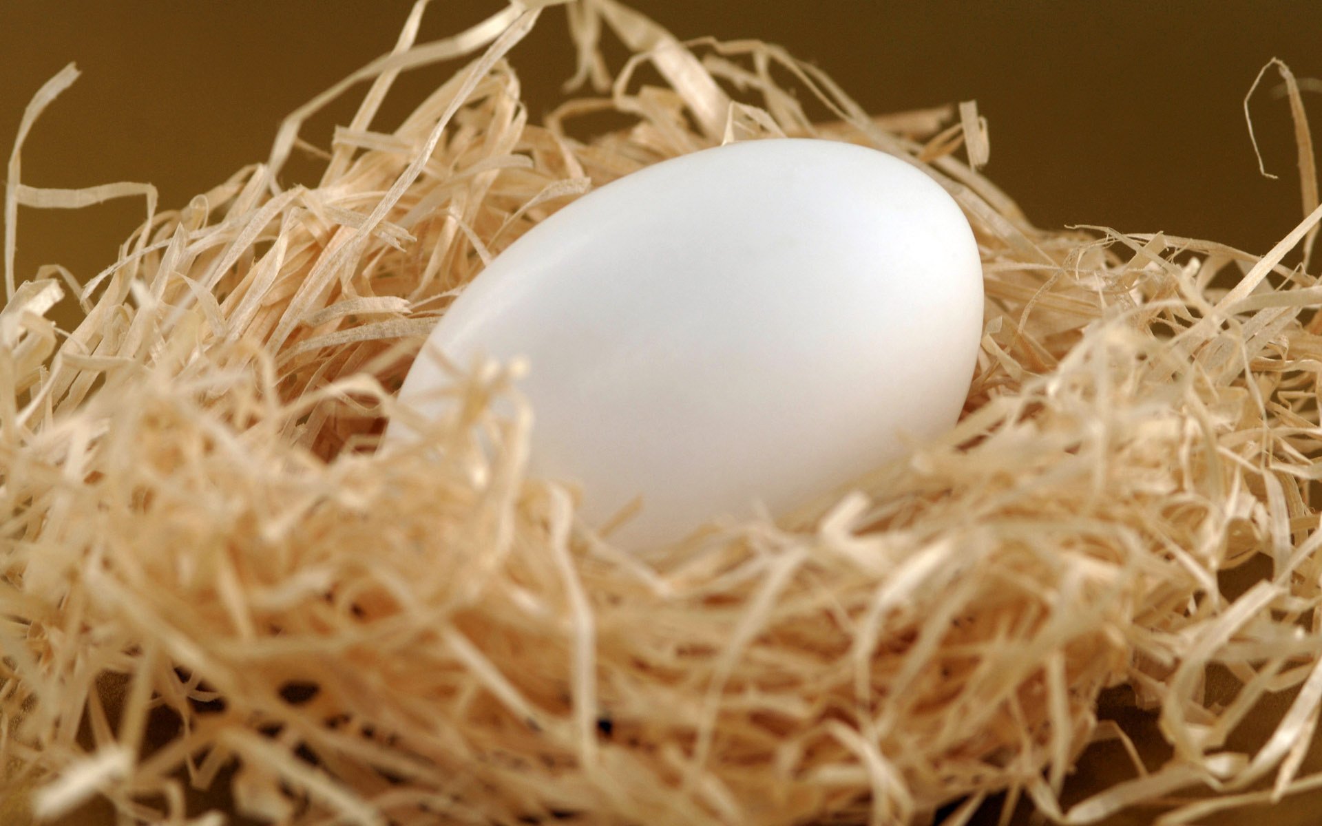Пасхальное яичко в гнезде из стружки