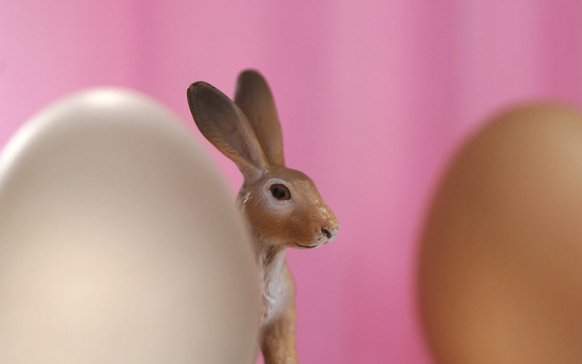 Пасхалтный кролик выглядывает из-за яйца