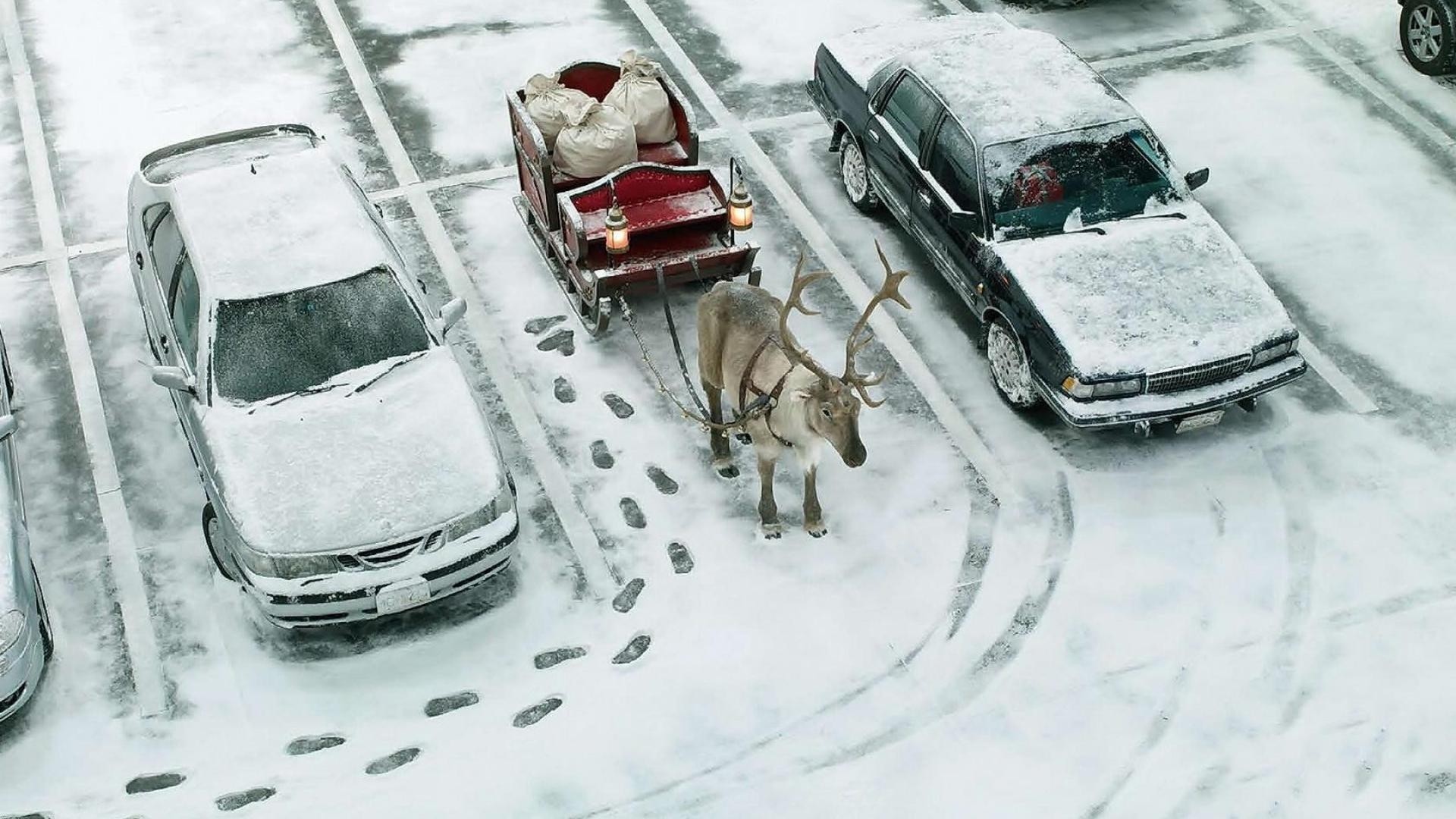 Обои для телефона смешно снег рождество юмор сани автомобили зима олень