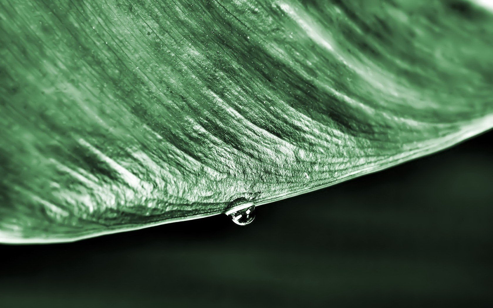 Фон капелька на зеленом листочке