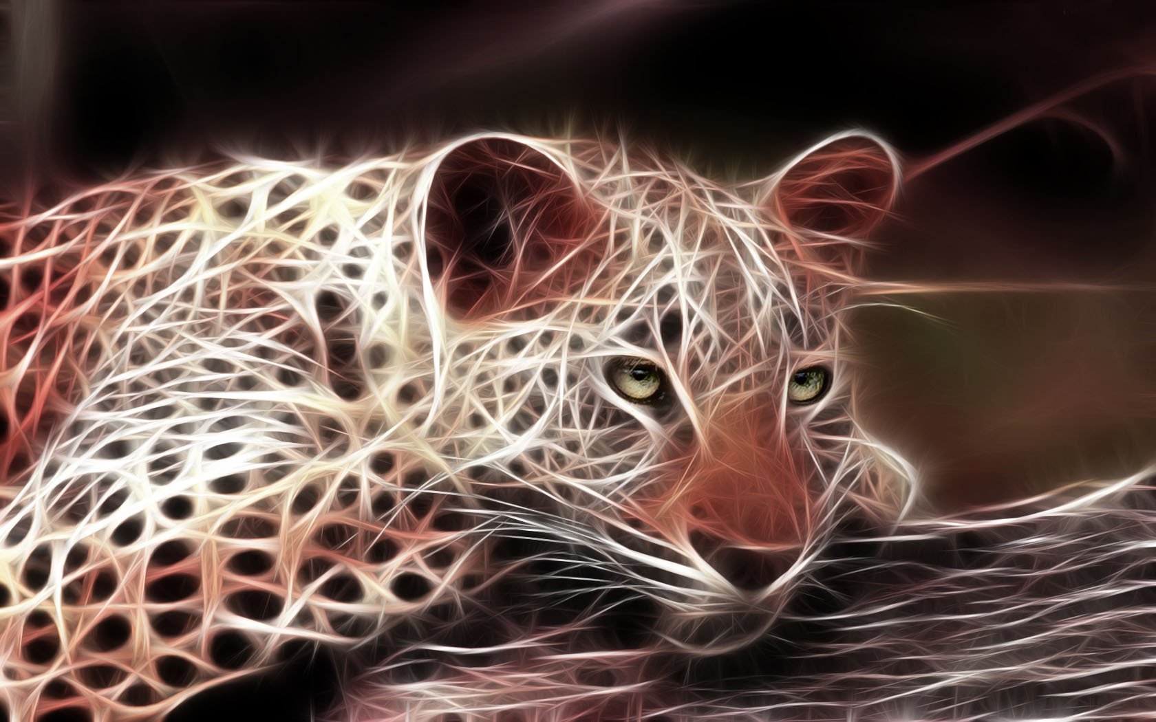 Световая обработка хищника леопарда
