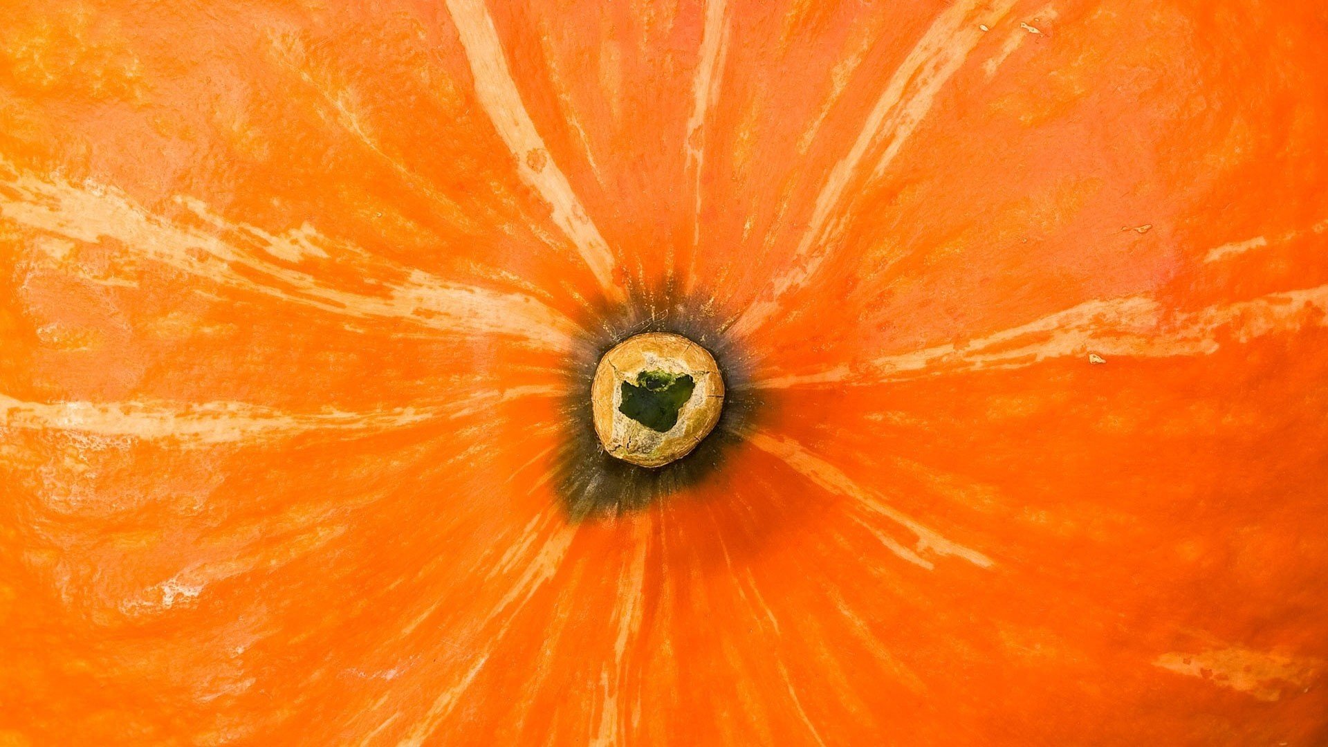 Оранжевый цветок с шариком посередине