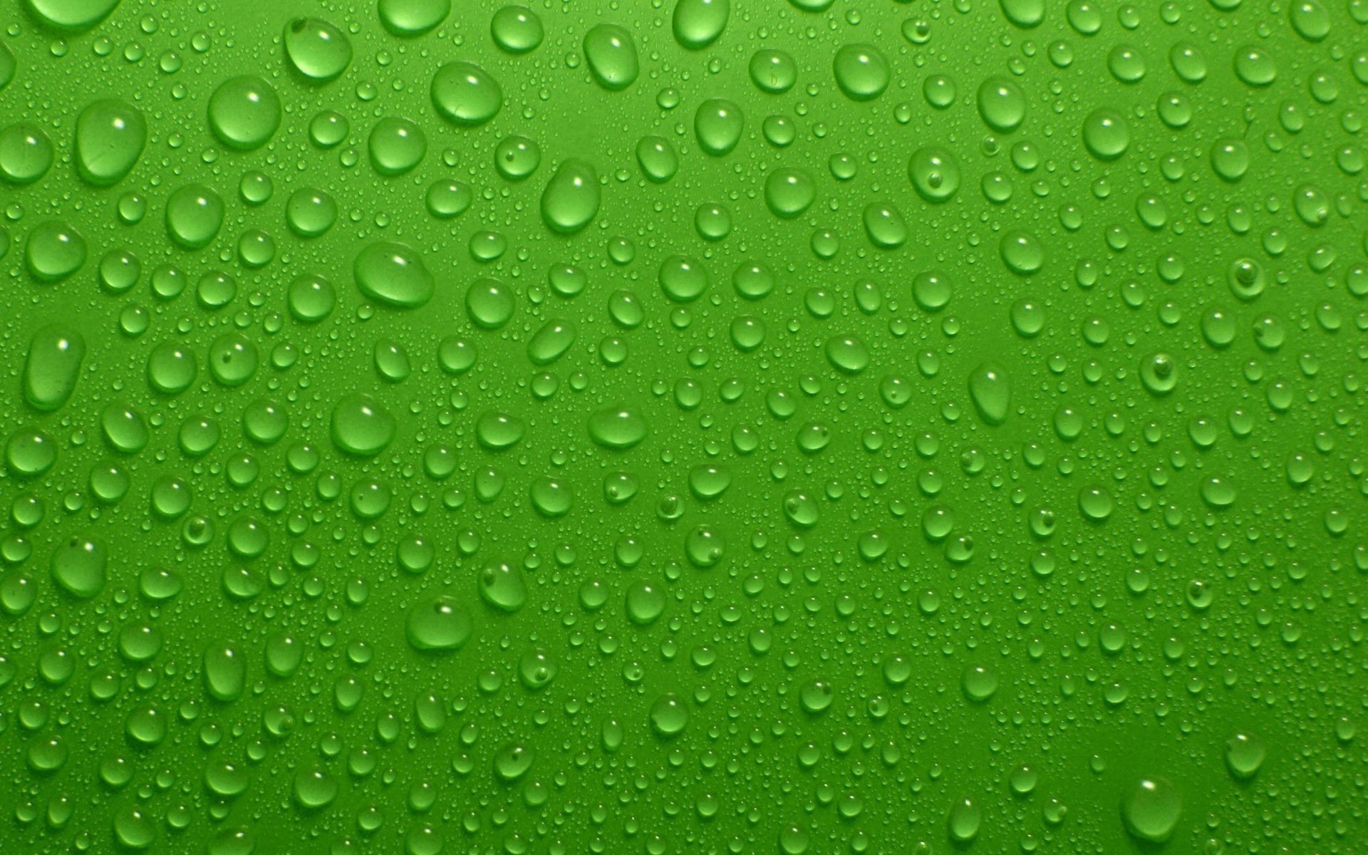 Капельки воды на зелёном фоне