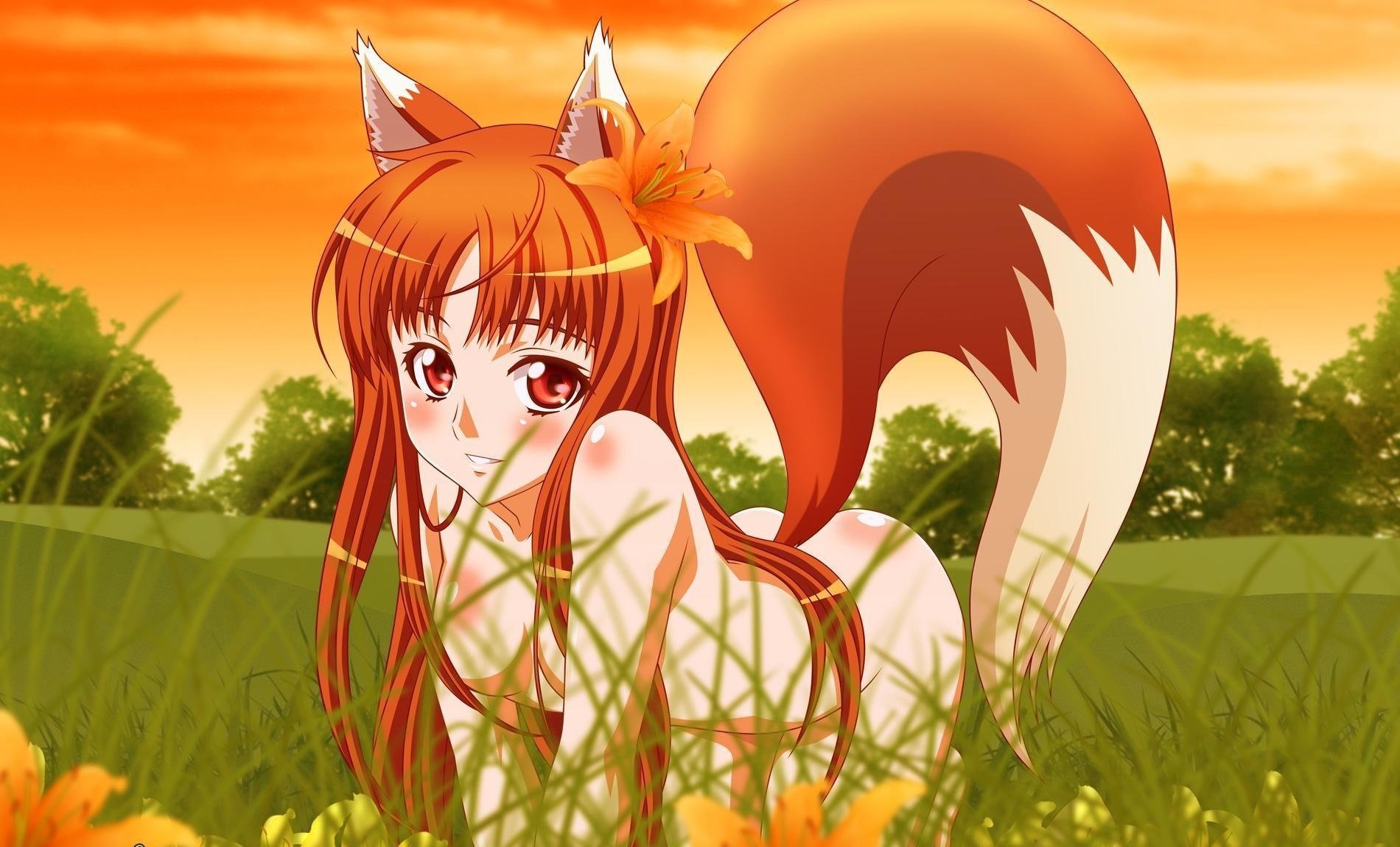 Девочка аниме в эротической позе с хвостом лисы