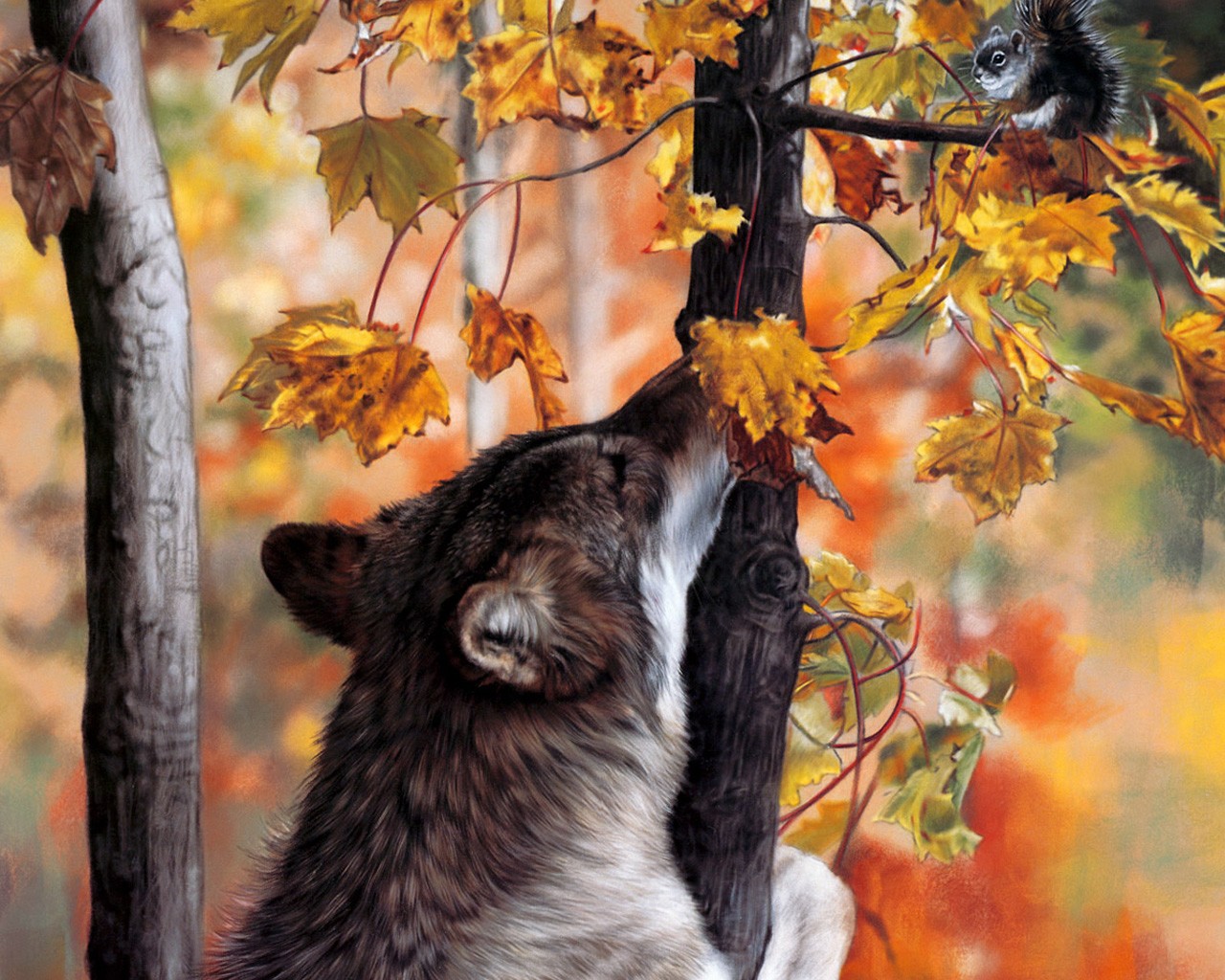 волк деревья лес осень скачать