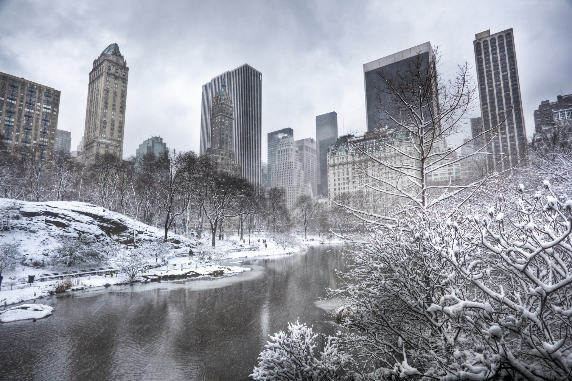 манхэттен нью-йорк зима деревья небоскребы пруд здание центральный парк