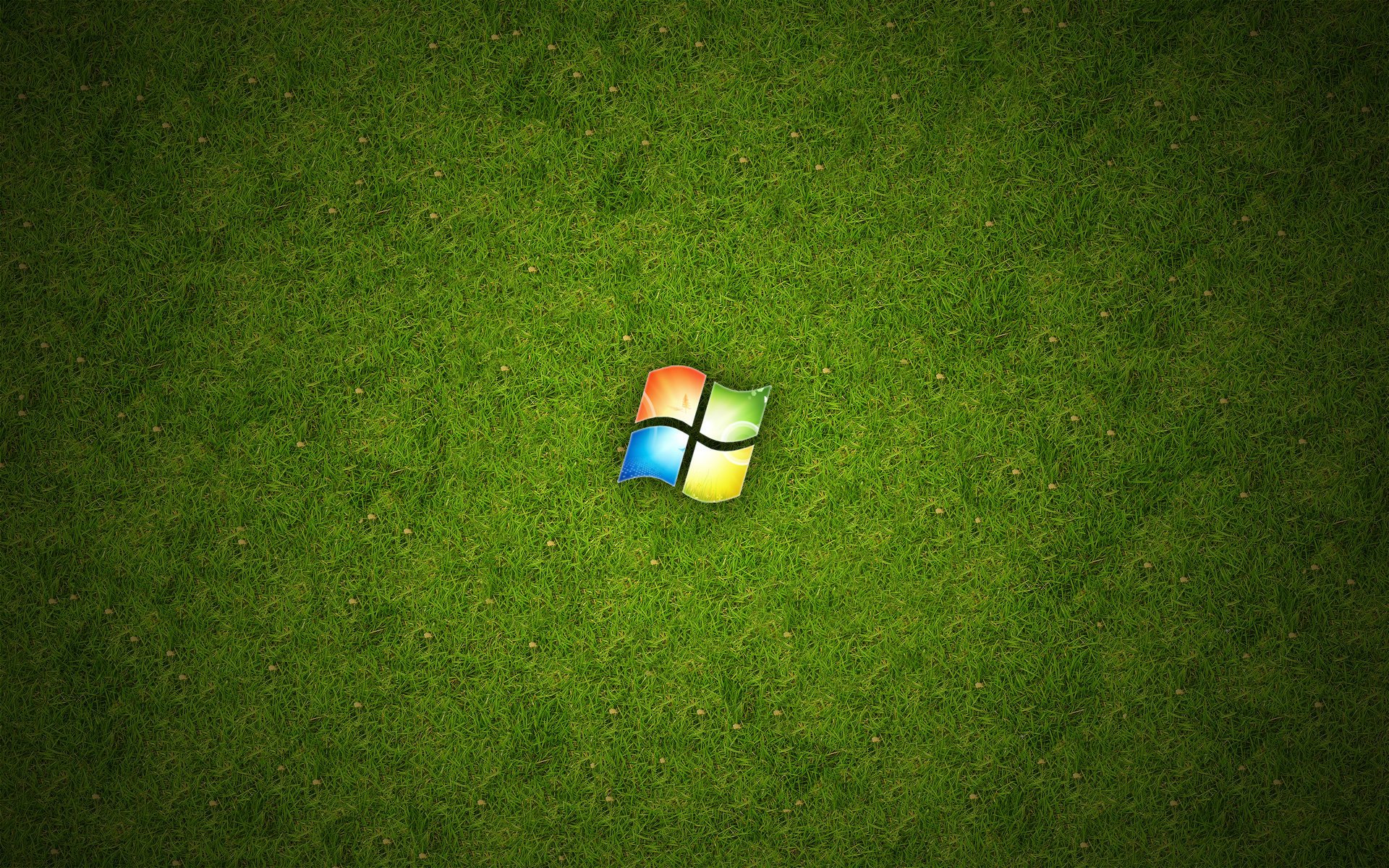 Логотип на свежей зелёной траве
