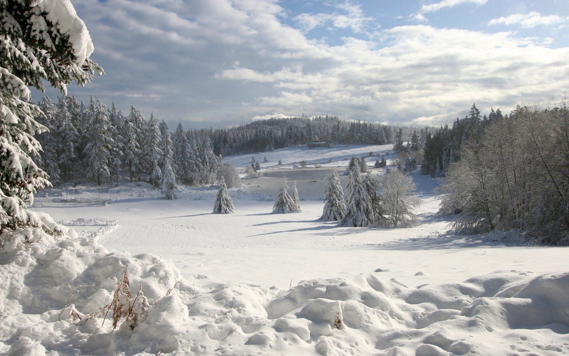 Зима и сугробы на фоне гор и леса