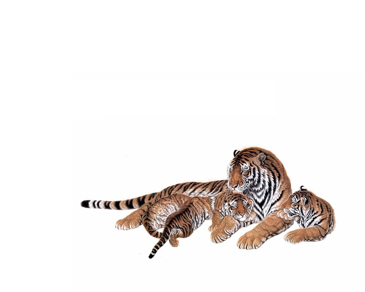 тигрица малыши тигрята мама забота ласка любовь