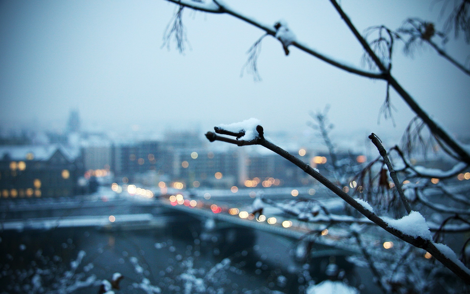 зима ветка снег город
