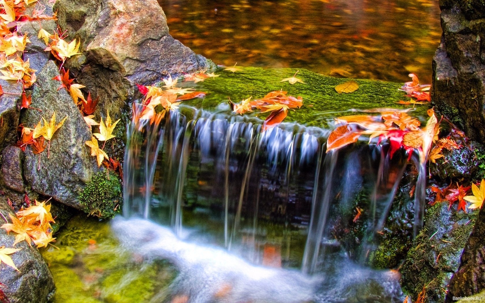 Льющийся водопад на фоне осенних разноцветных листьев