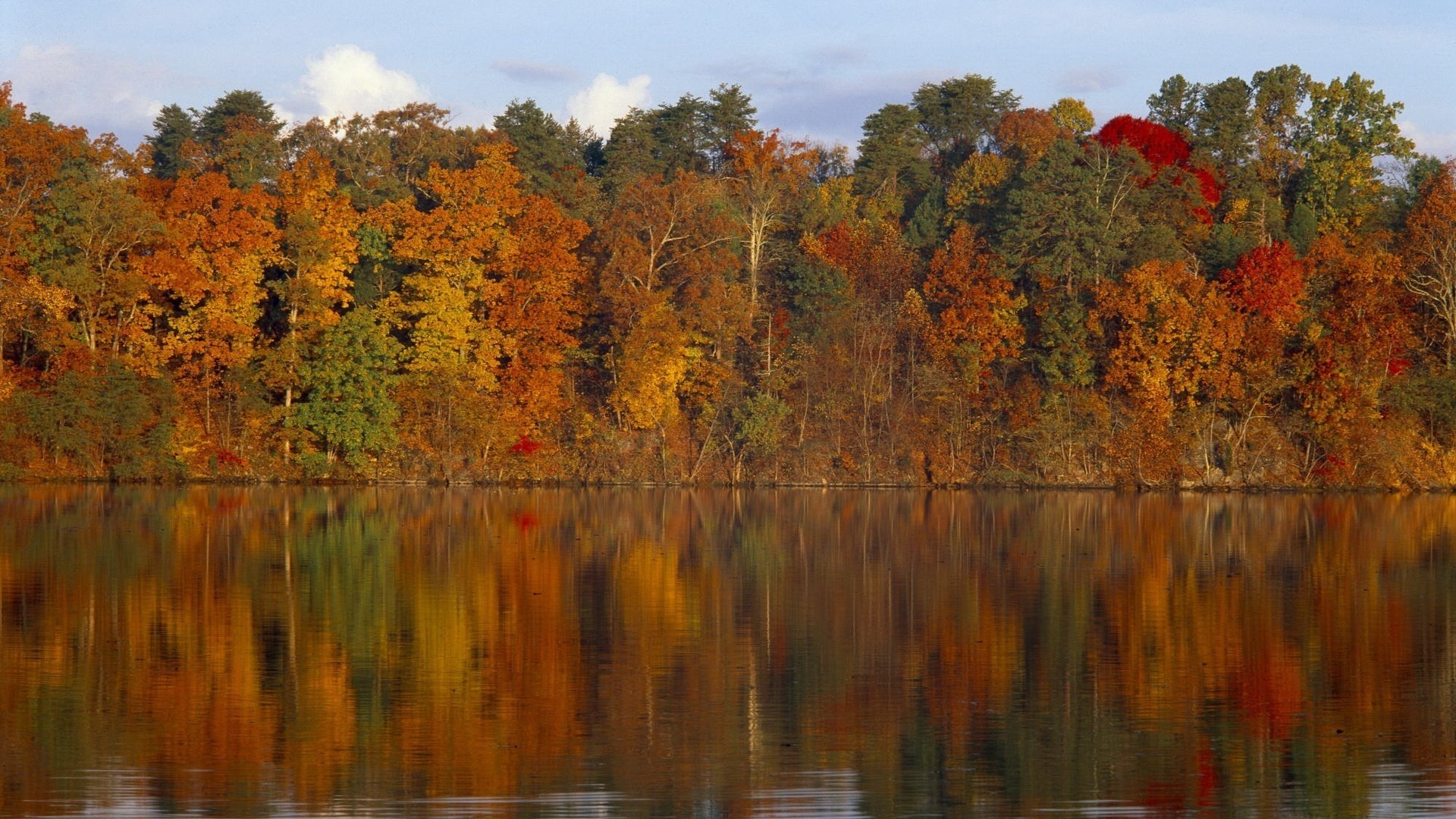 Отражение в воде яркого осеннего леса
