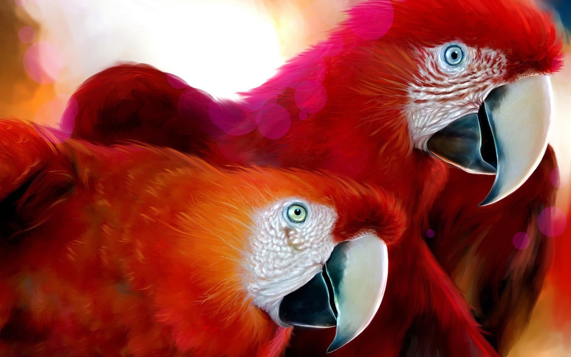 Пара красных попугаев ара смотрит в одном направлении