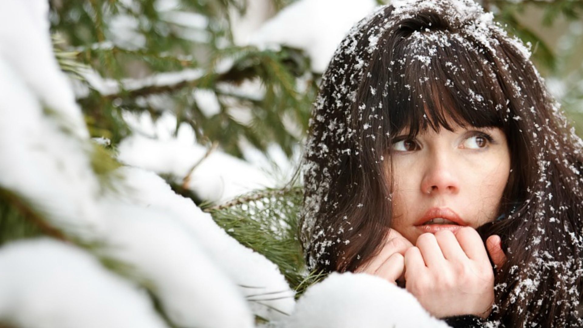 Девушка под снегом. Девушка зима. Девушка зимой. Зимний портрет. Девушка в зимнем лесу.