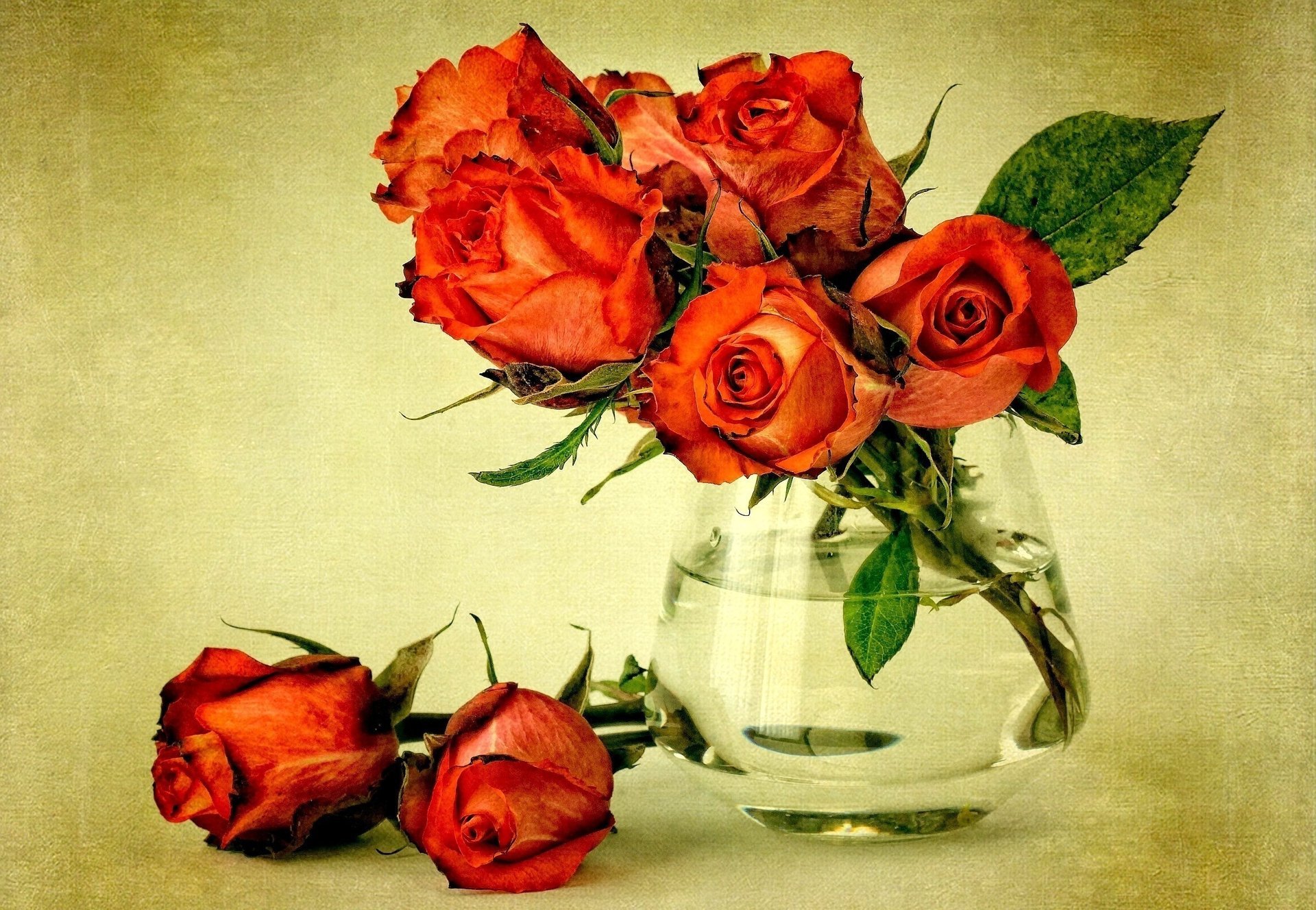 Букет увядающих роз в стеклянной вазе