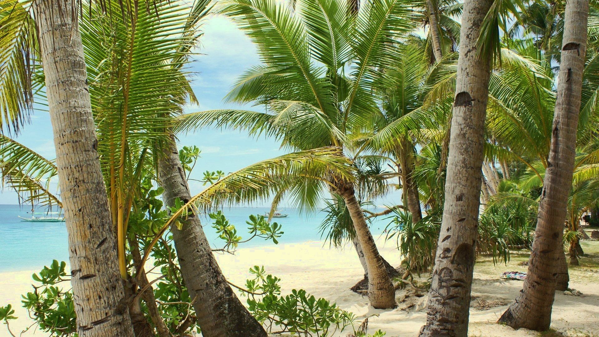 Море и песчаный пляж. Пальмы
