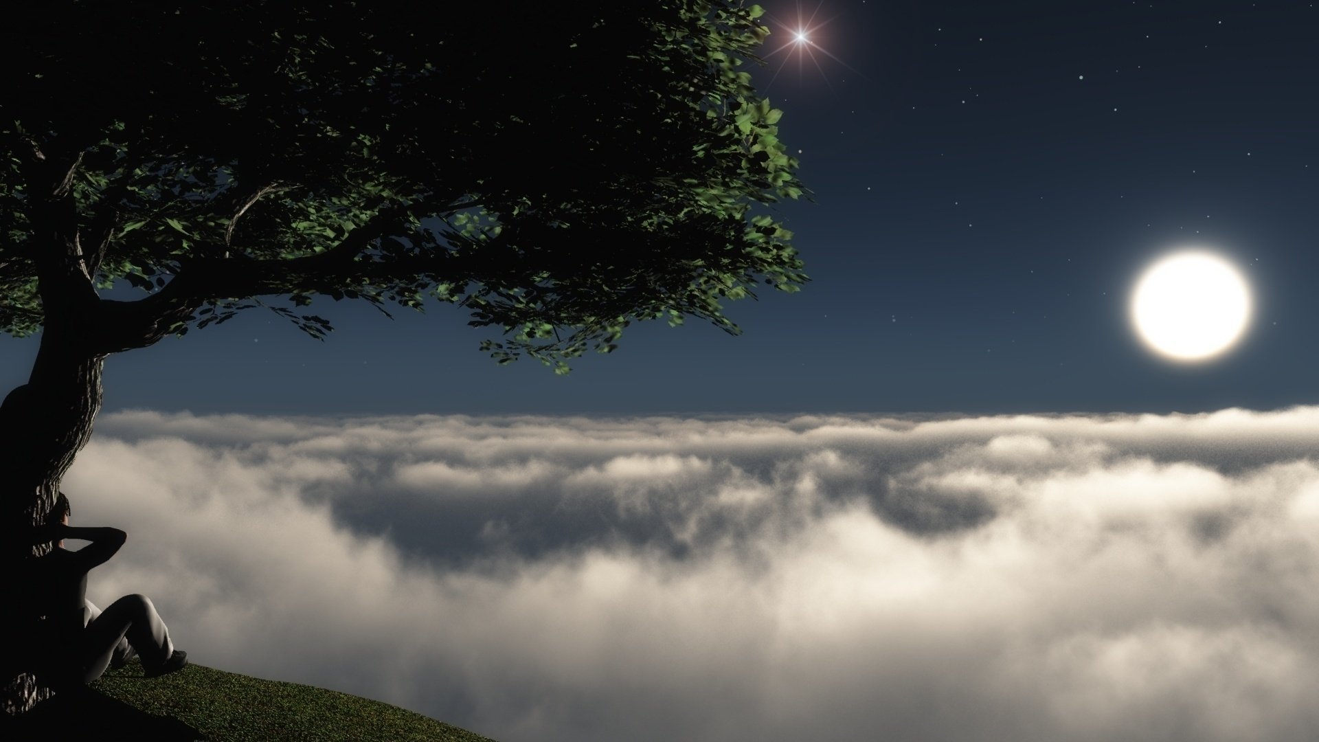 Дерево на краю обрыва в ночном небе