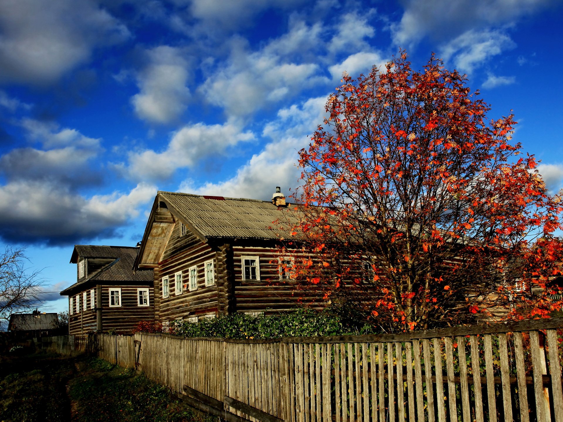 Деревенские дома с забором осенью