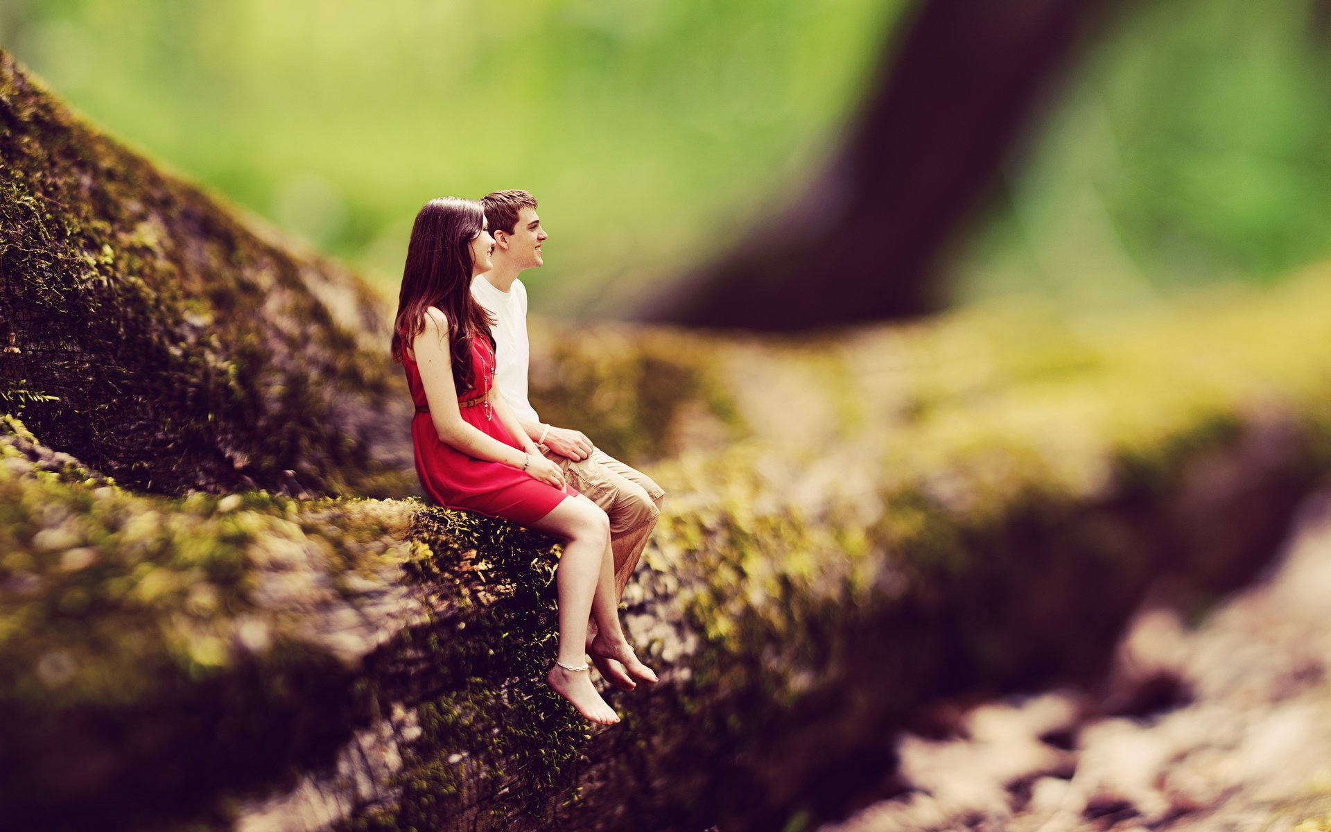 Пара влюбленных сидят на дереве в лесу
