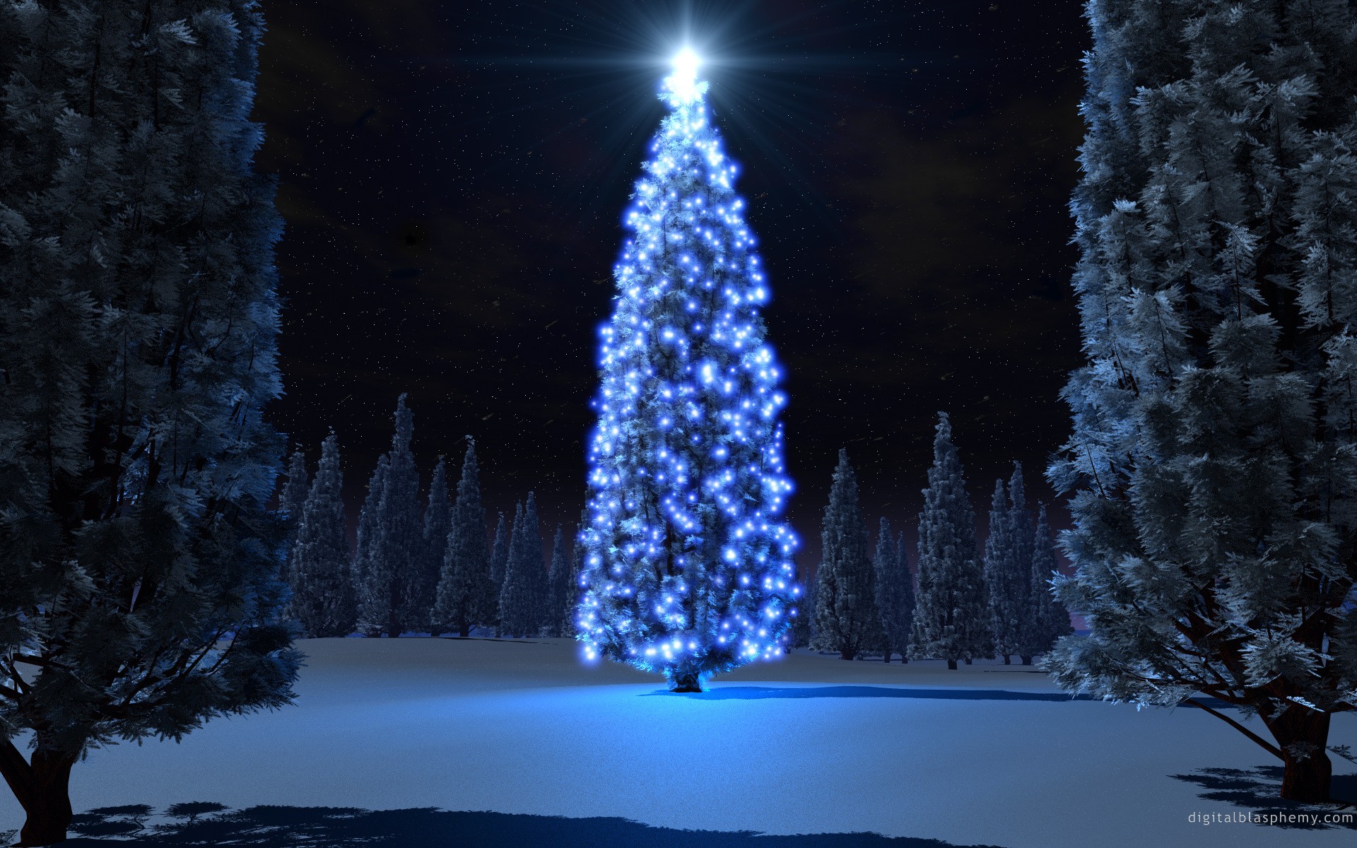 Ель рождество огни Spruce Christmas lights бесплатно