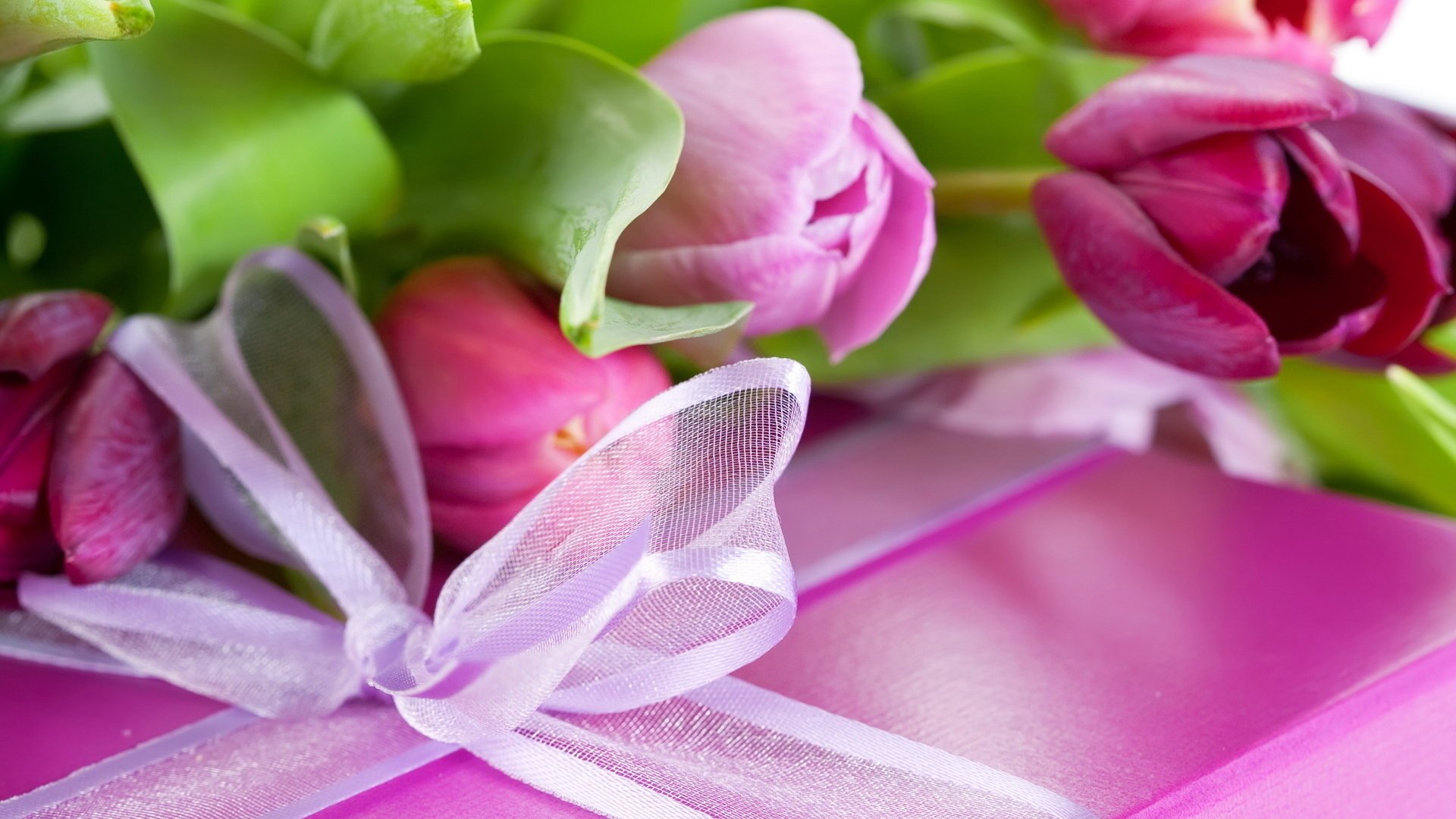 Изображение тюльпанов с коробкой подарочной