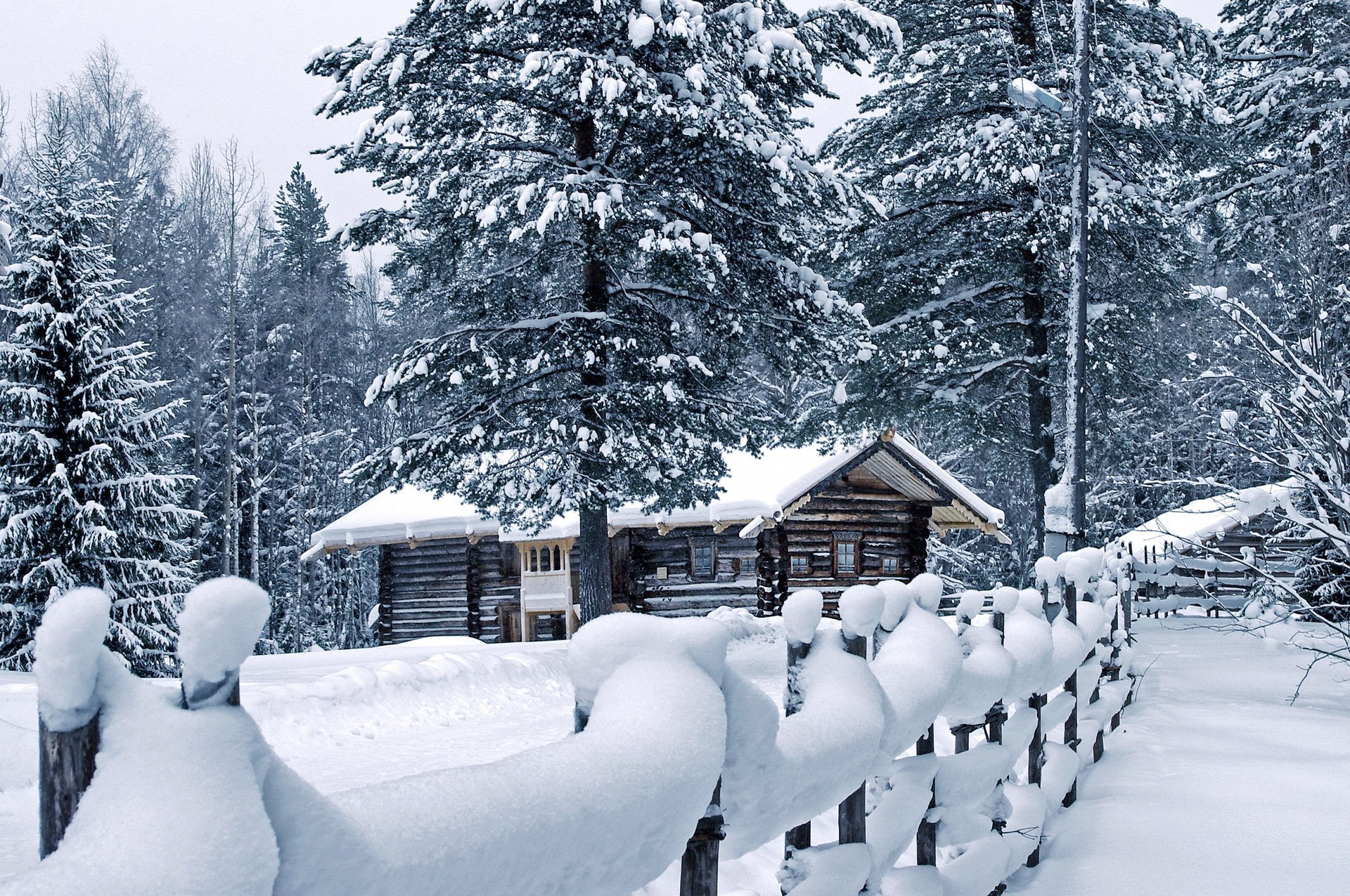 Забор в снегу вокруг дома среди сосен