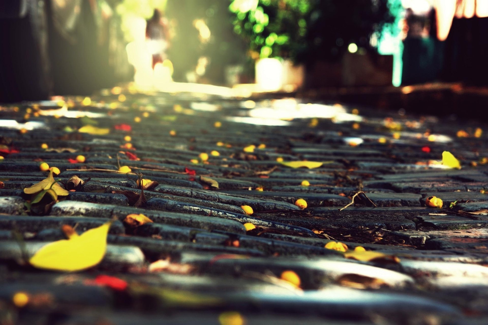 Желтая листва лежит на брусчатке
