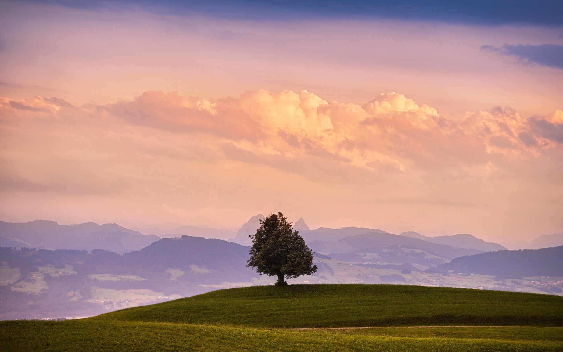 Одиноко стоящее дерево в поле на фоне гор и облаков