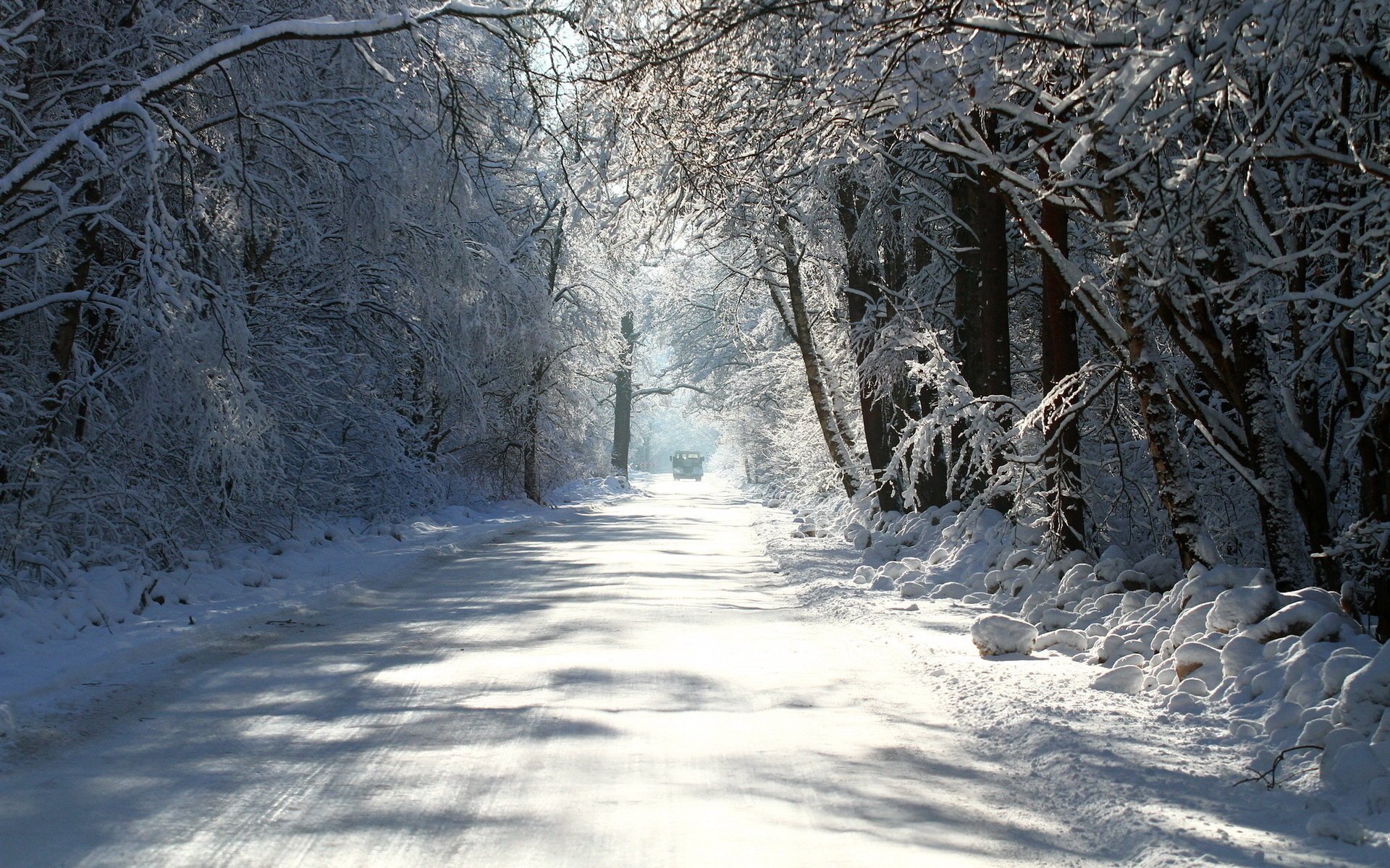 Зимняя дорога посреди леса