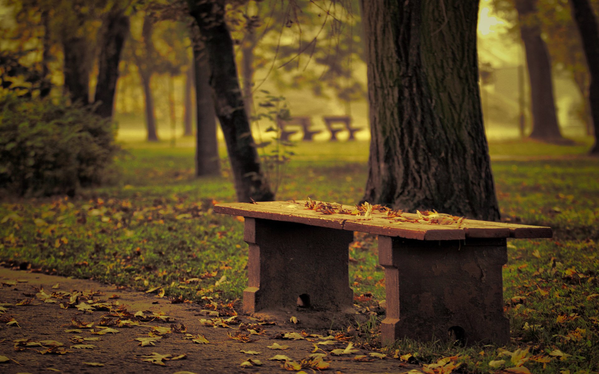 Опавшие листья засыпали скамью в парке