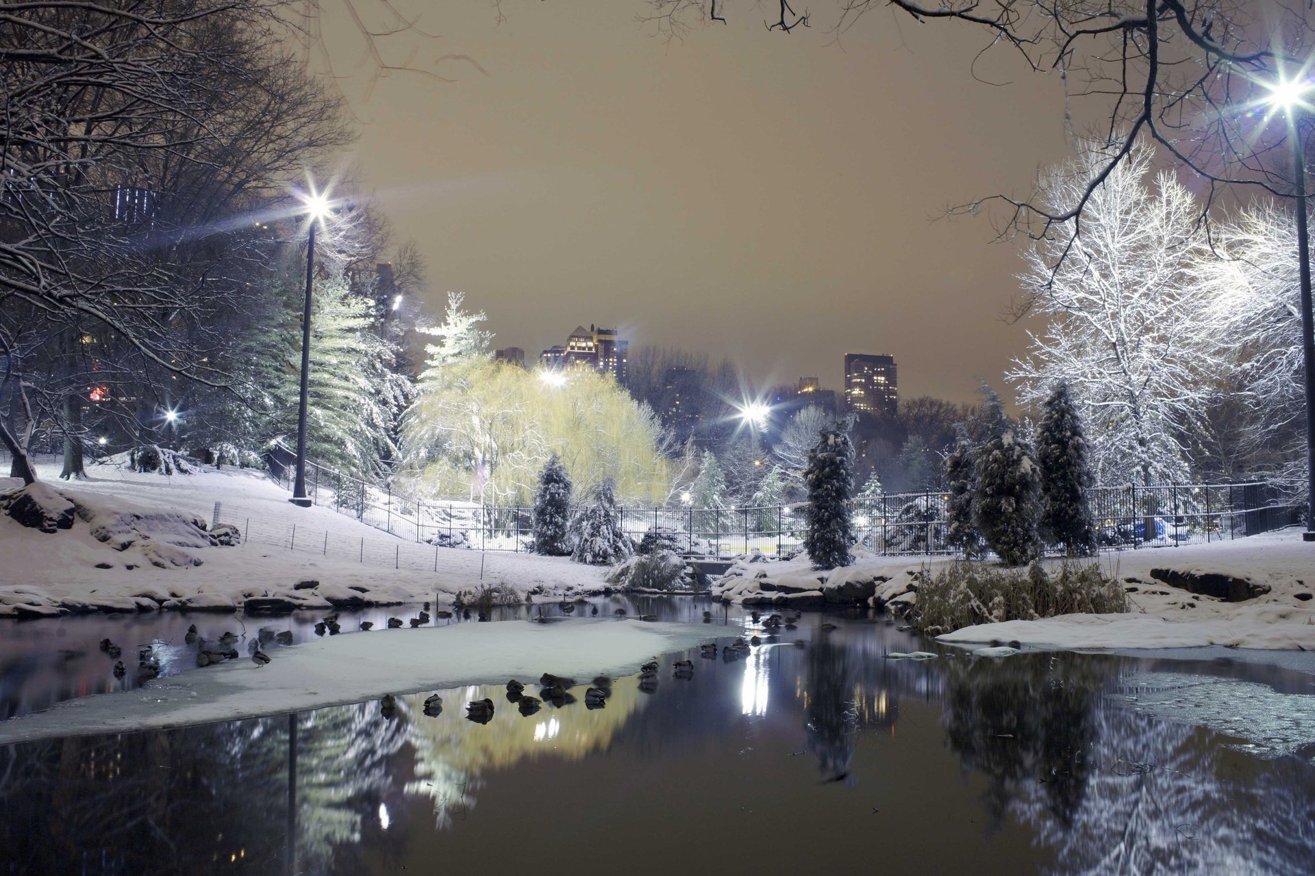 Зимний город. фонари в снегу