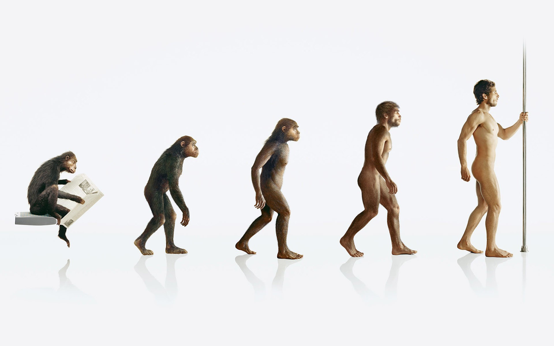 Эволюция человека скачать